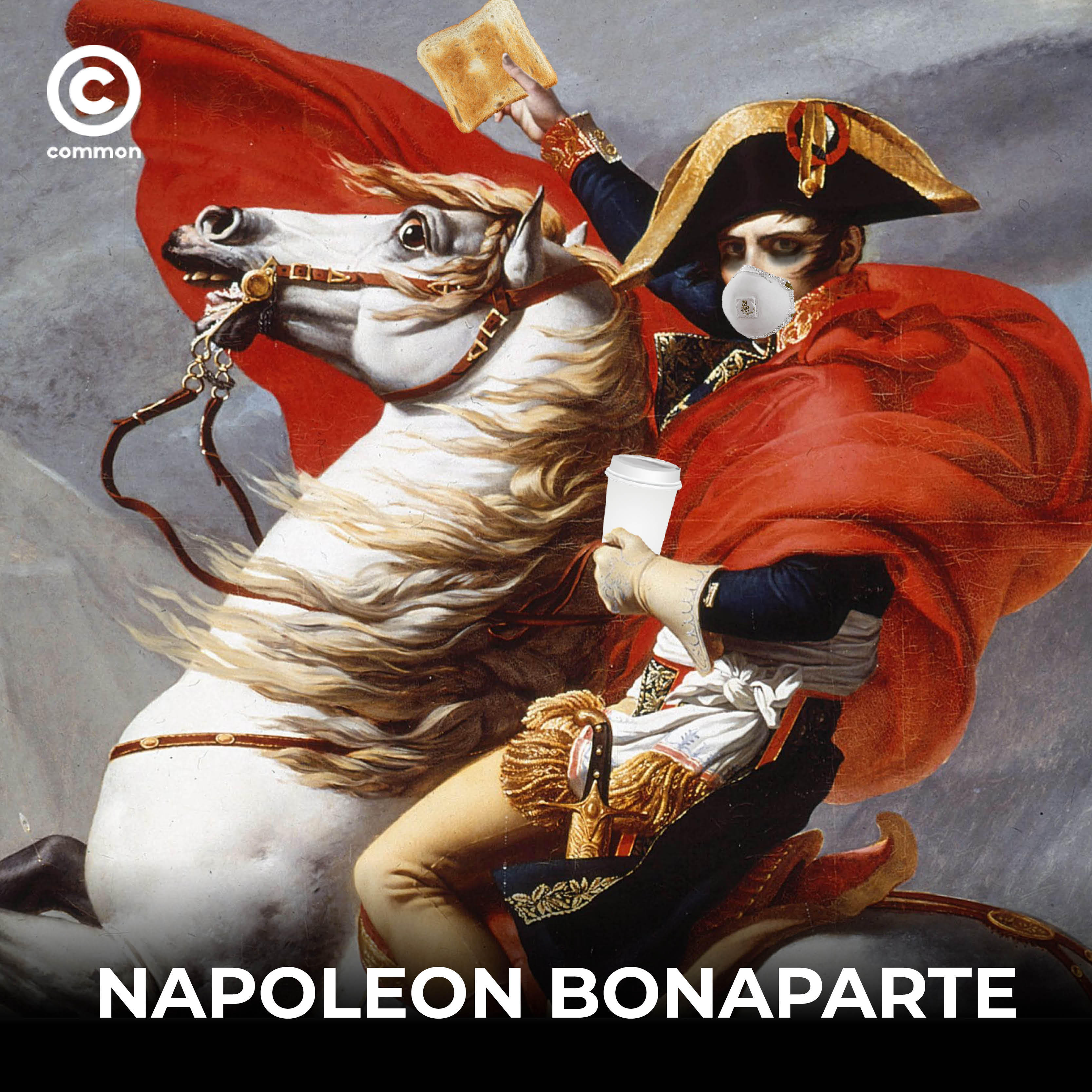 NAPOLEON BONAPARTE
