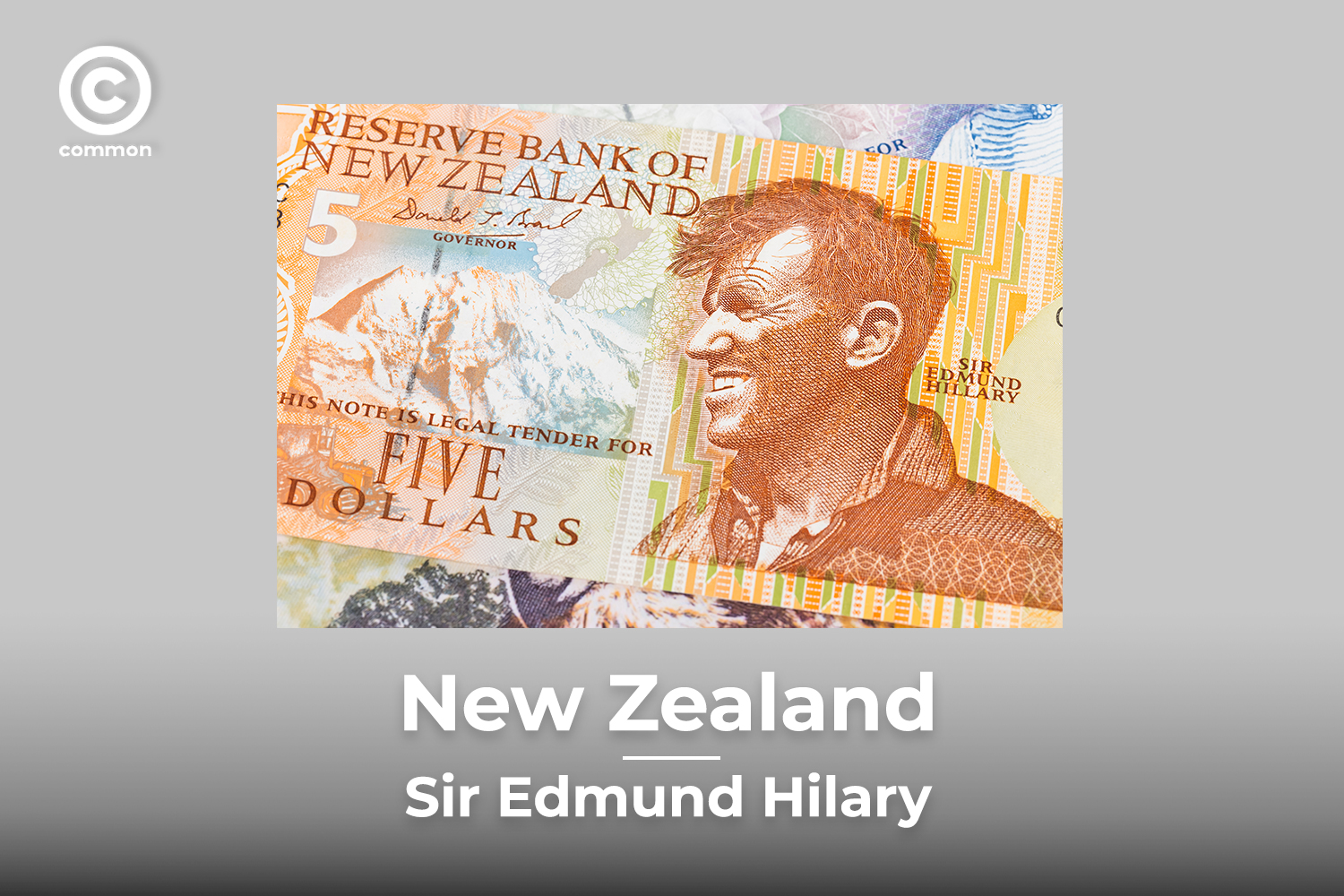 NZ banknote