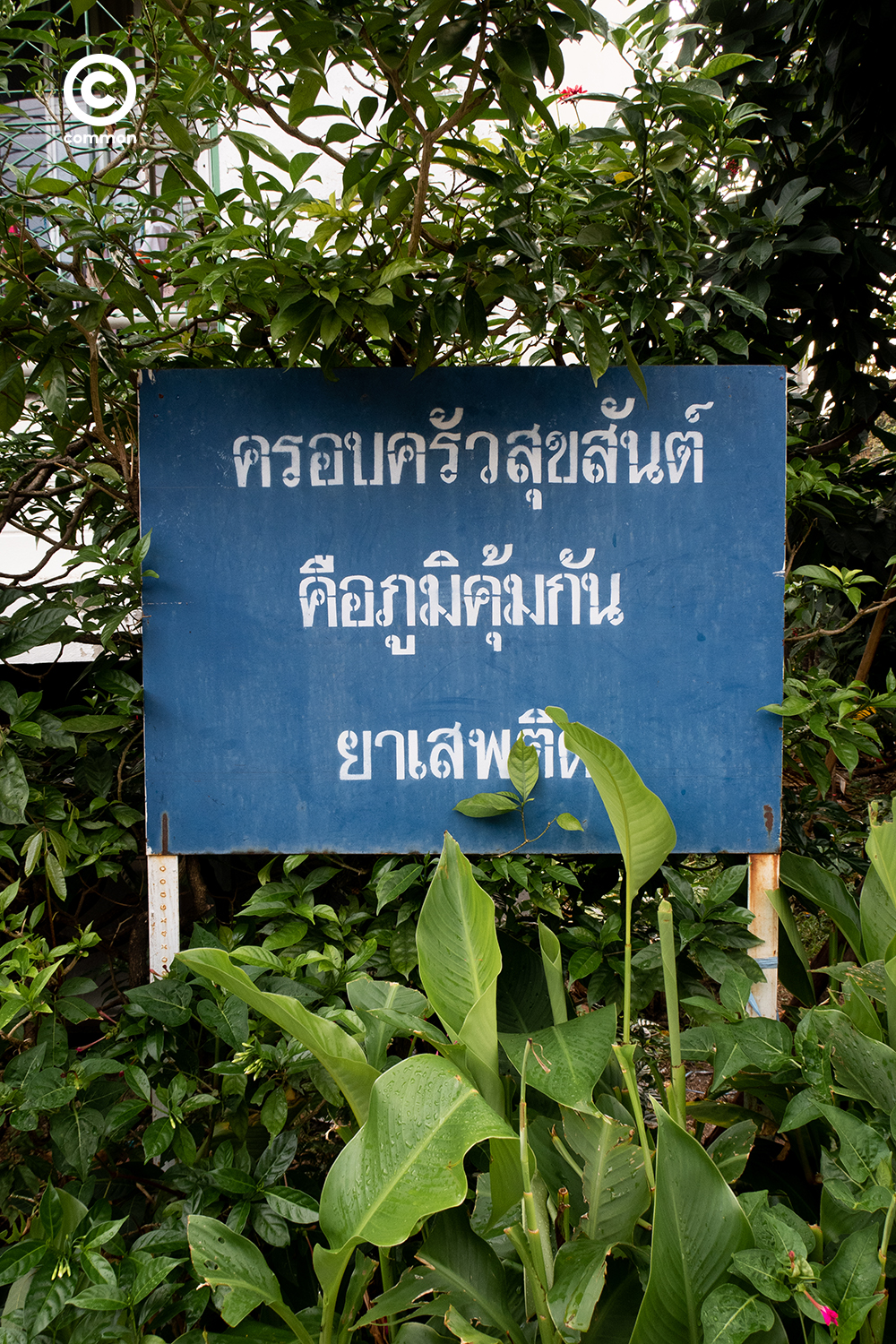 #photoessay #คำขวัญ #CULTURE #becommon