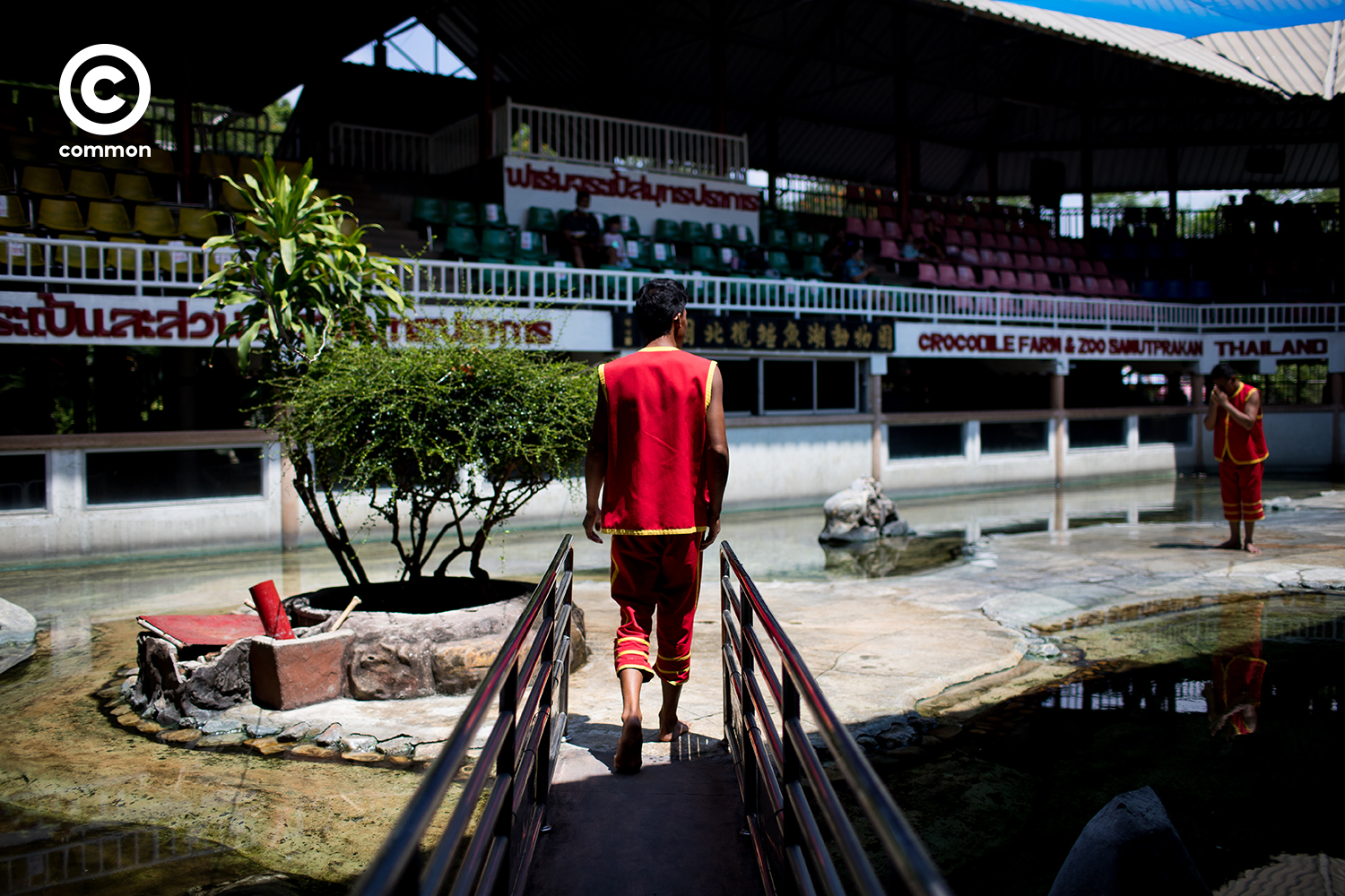 #photoessay #COVID19 #การแสดงโชว์จระเข้ #WORLD #becommon