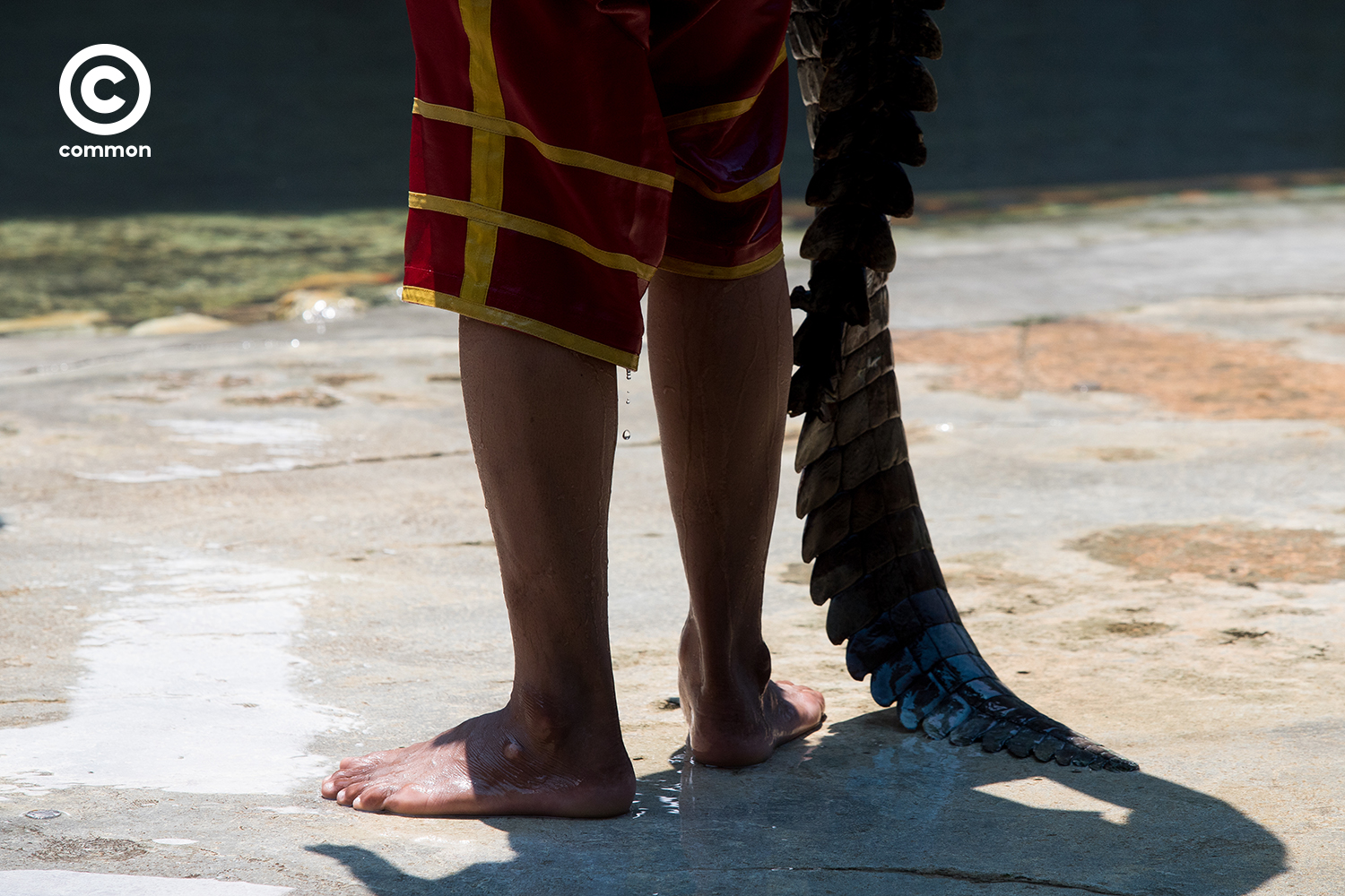#photoessay #COVID19 #การแสดงโชว์จระเข้ #WORLD #becommon