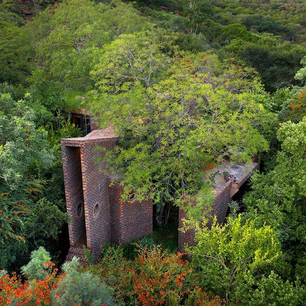 Africa's Narrow House