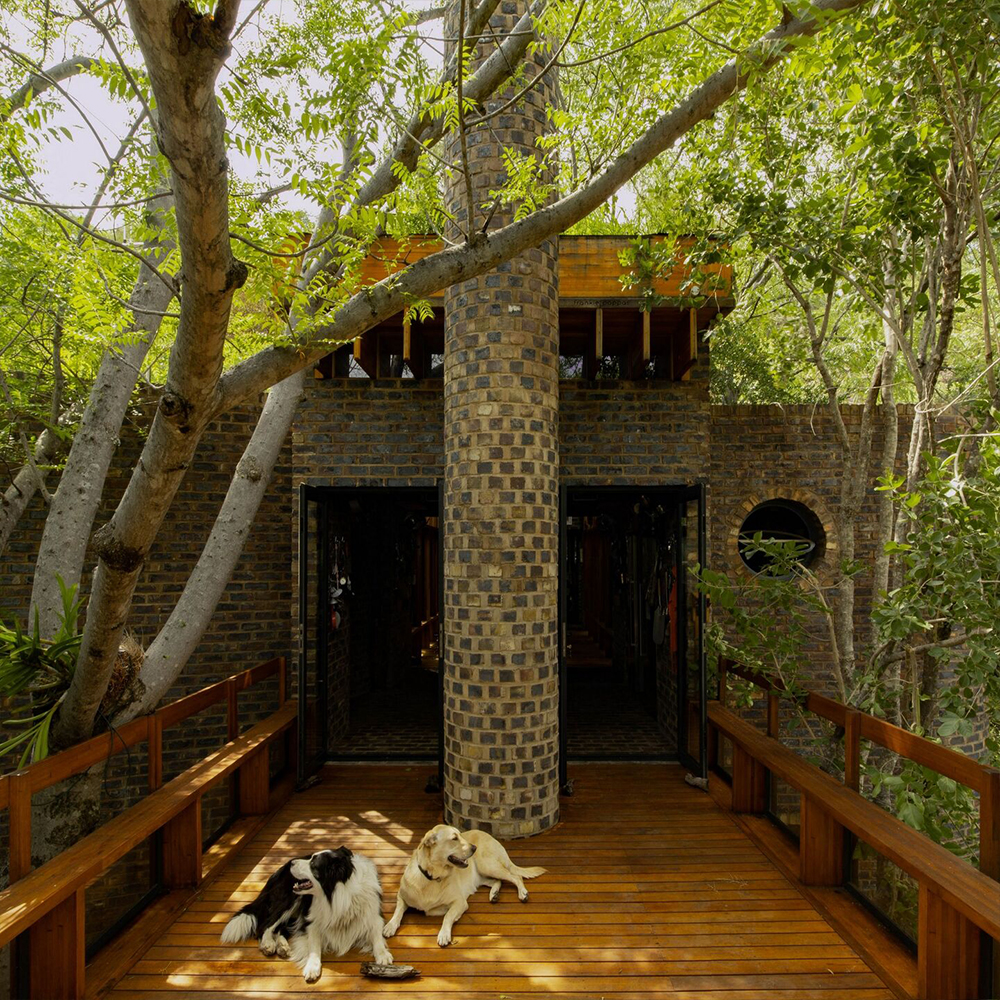 Africa's Narrow House
