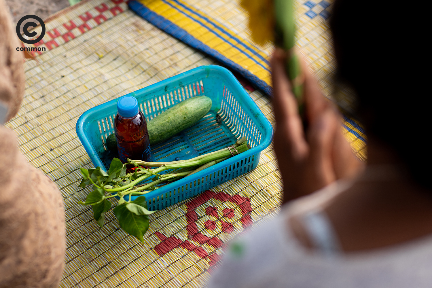 #PHOTOESSAY #เต่างอย #พญาเต่างอย #CULTURE #becommon