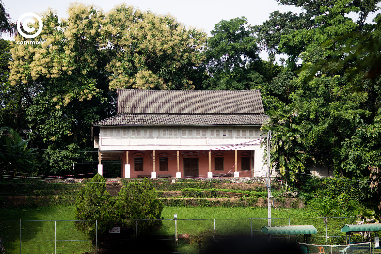 แพร่
