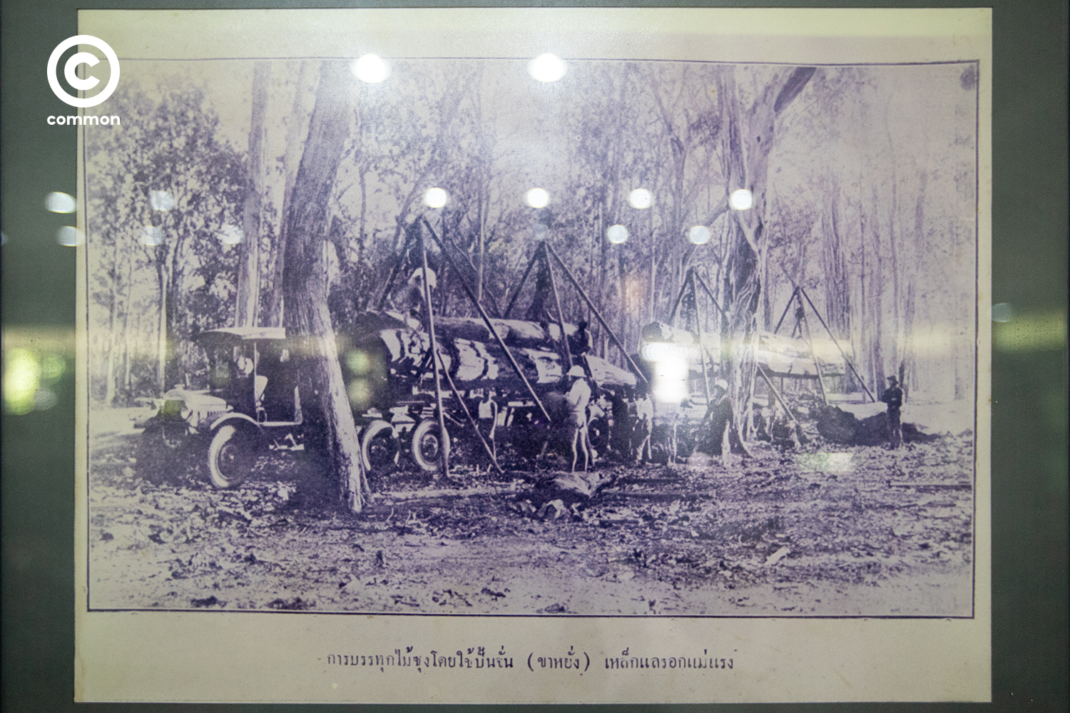 แพร่