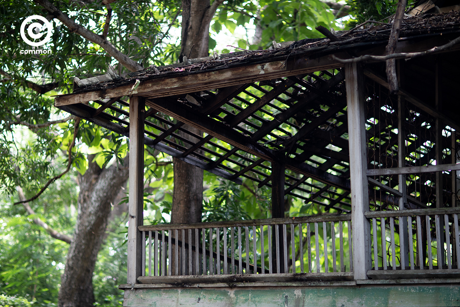 แพร่