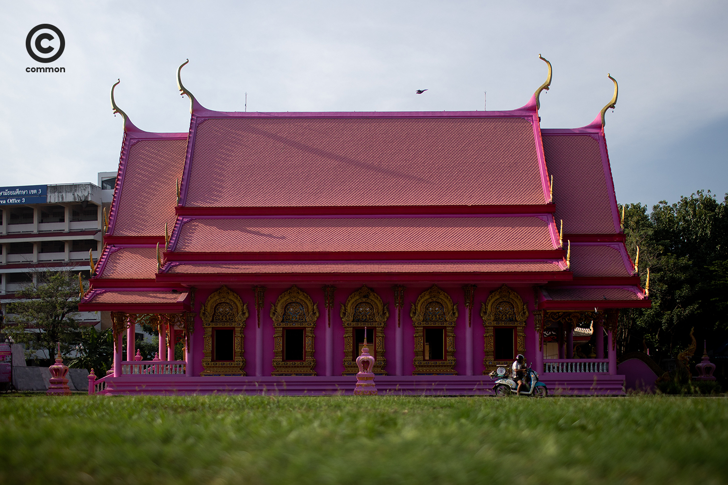 #PHOTOESSAY #วัดเพลง #becommon