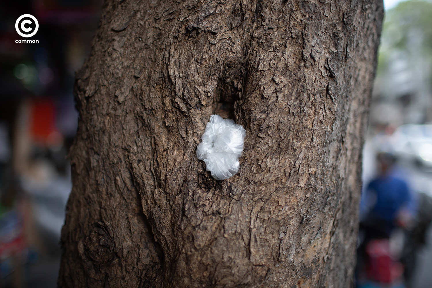 #PHOTOESSAY #ขยะ #becommon