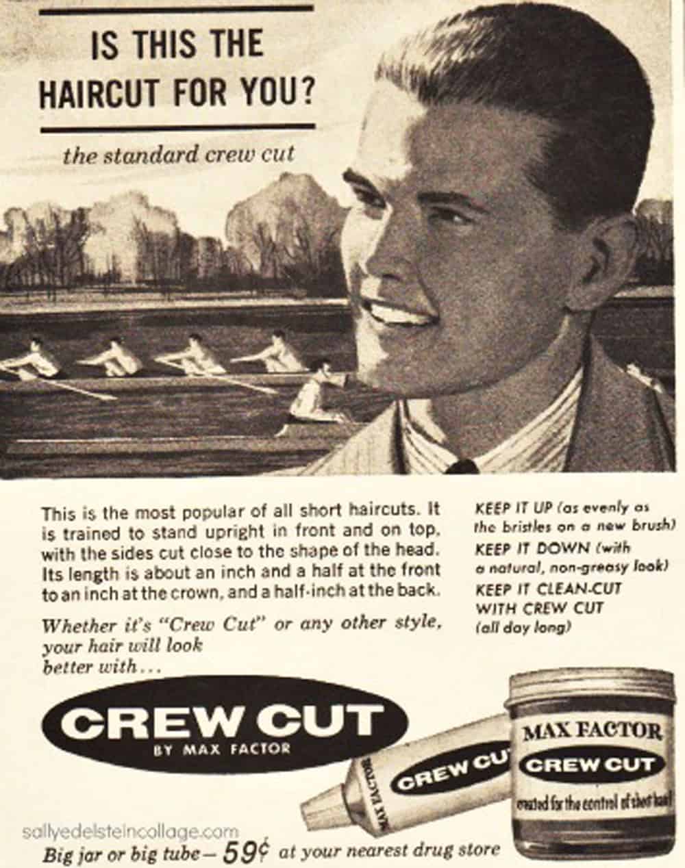crew cut
