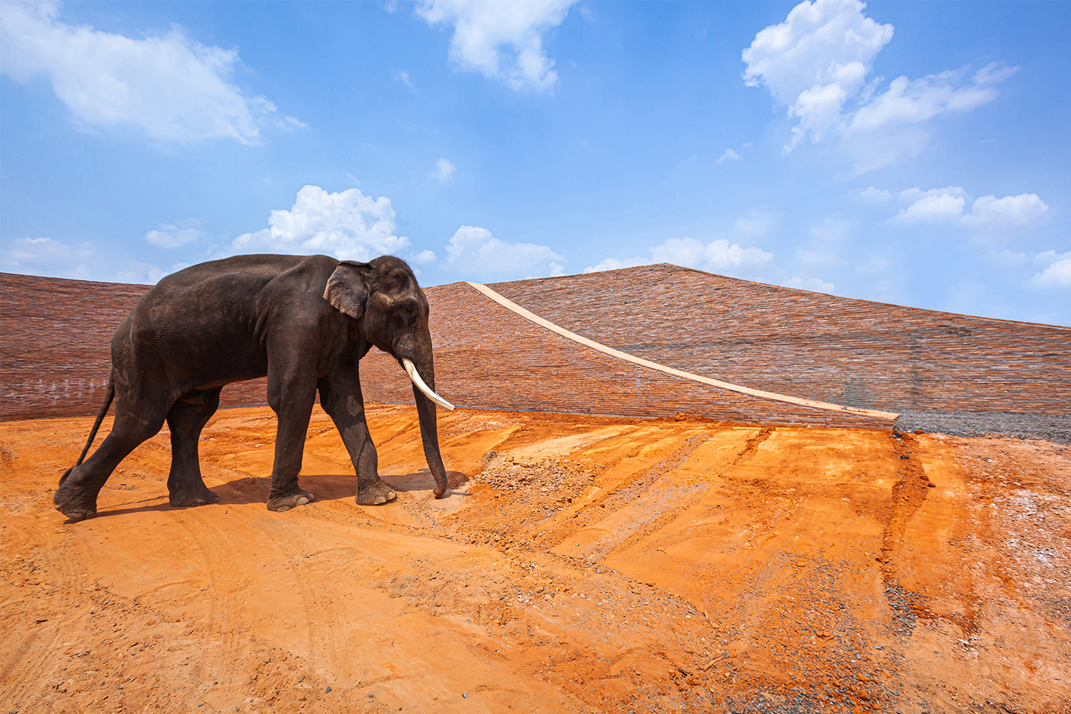 Surin Elephant World