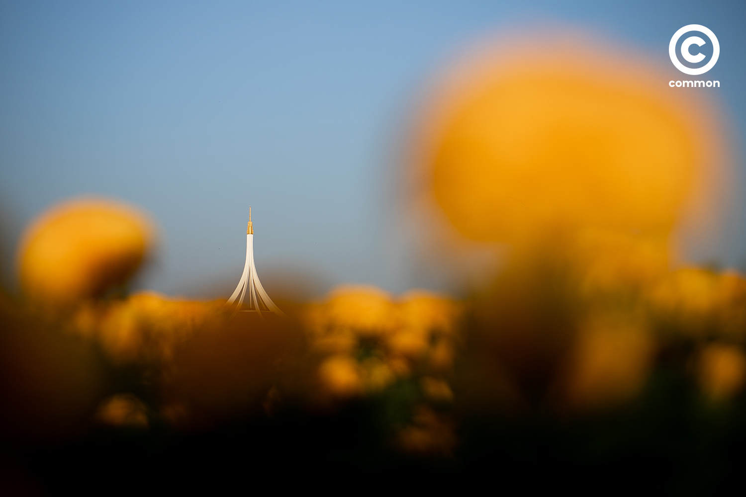 #PHOTOESSAY #สวนหลวงร9 #becommon