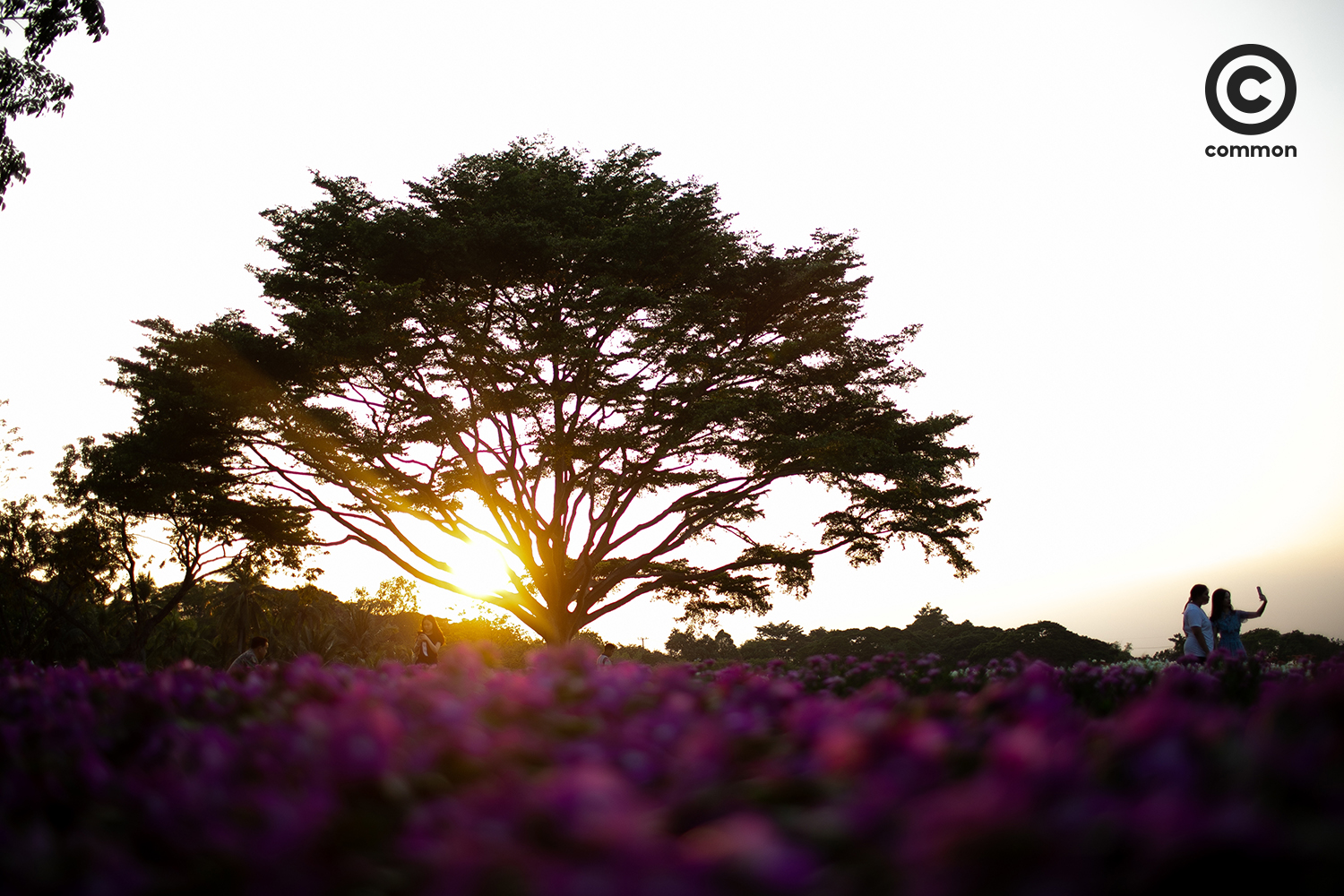 #PHOTOESSAY #สวนหลวงร9 #becommon