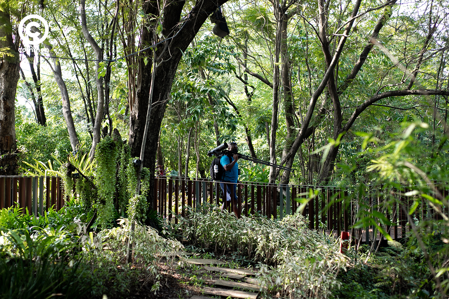 #PHOTOESSAY #สะพานคลื่นนก #becommon 