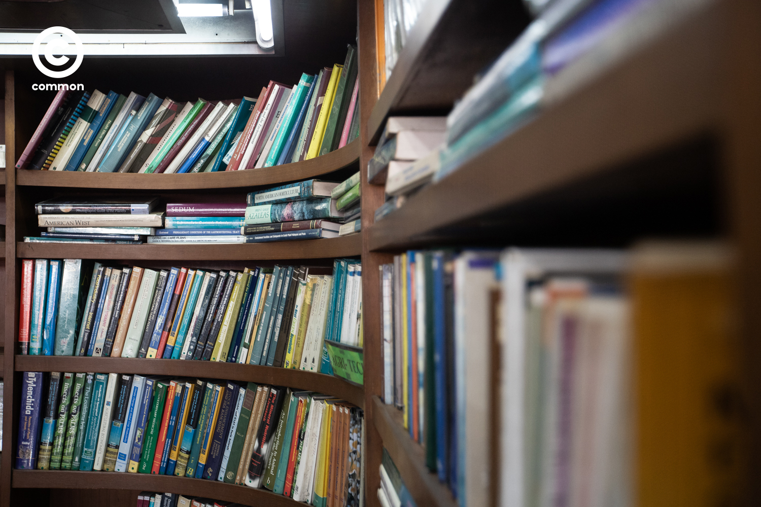 vintage bookshop