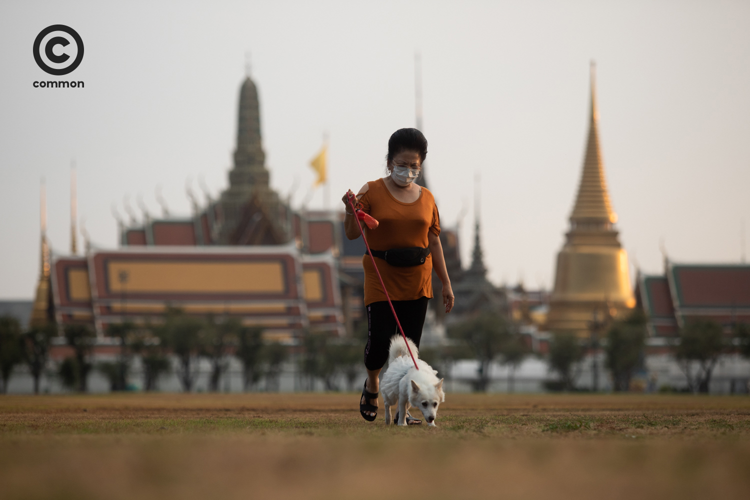 #PHOTOESSAY #สนามหลวง #becommon