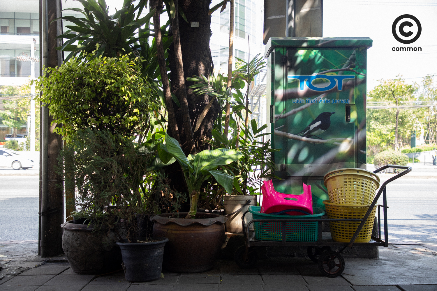 #PHOTOESSAY #กรุงเทพฯ #becommon