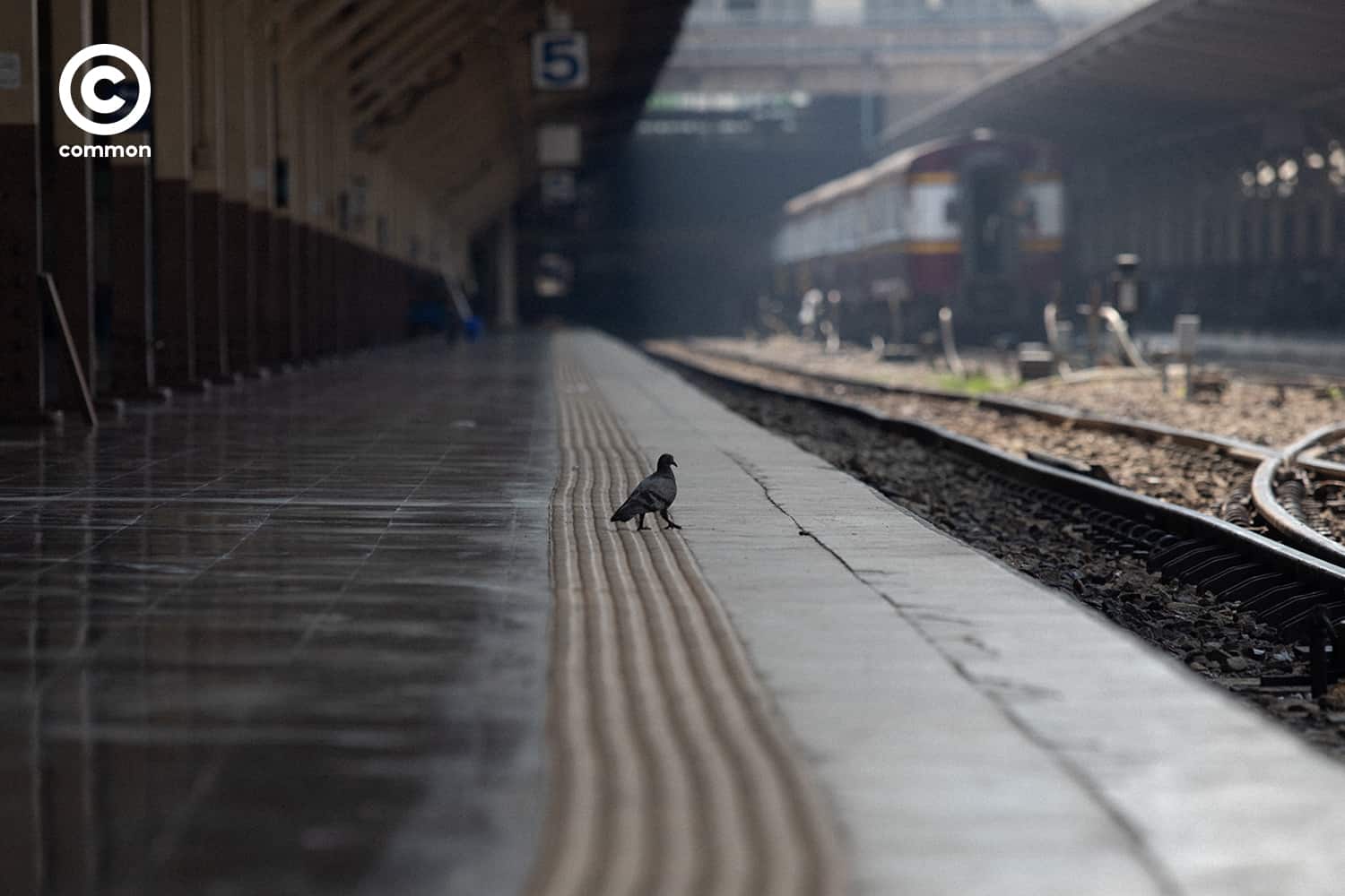 #PHOTOESSAY #สถานีรถไฟกรุงเทพ #หัวลำโพง #becommon