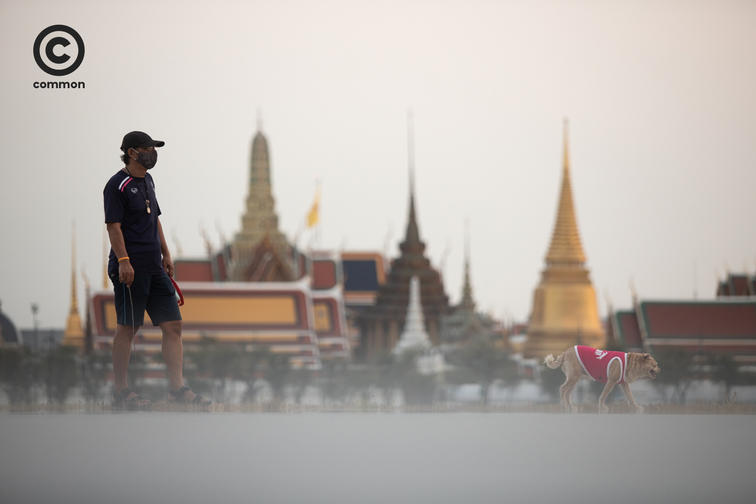 #PHOTOESSAY #สนามหลวง #becommon
