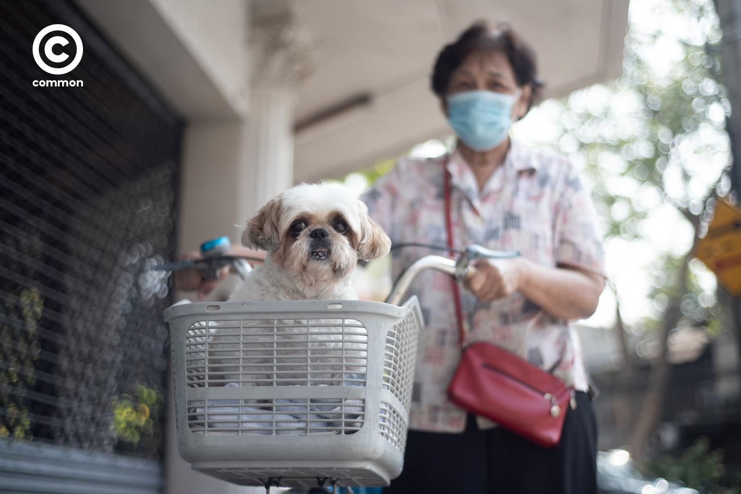 #PHOTOESSAY #สุนัข #becommon