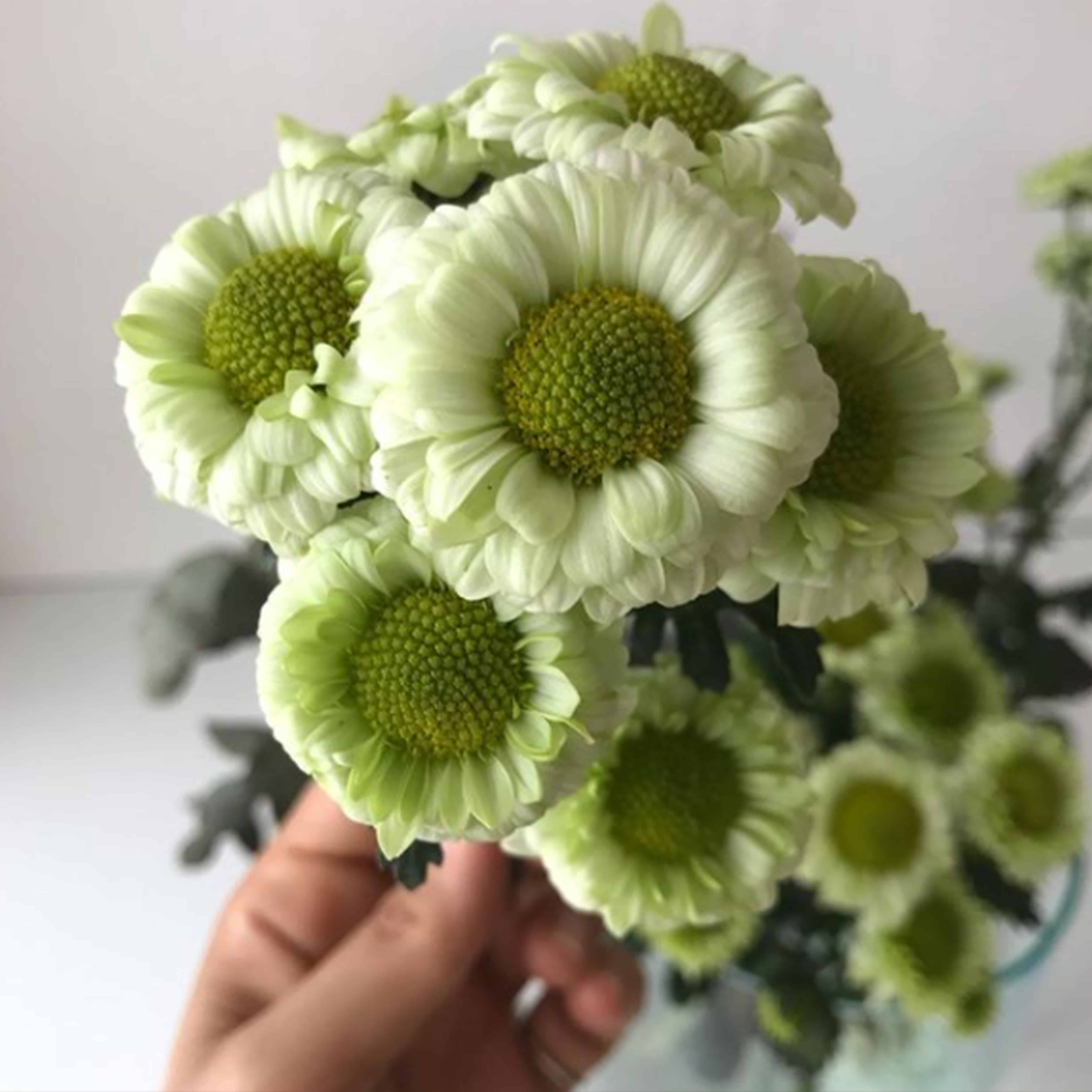 FloweringMind