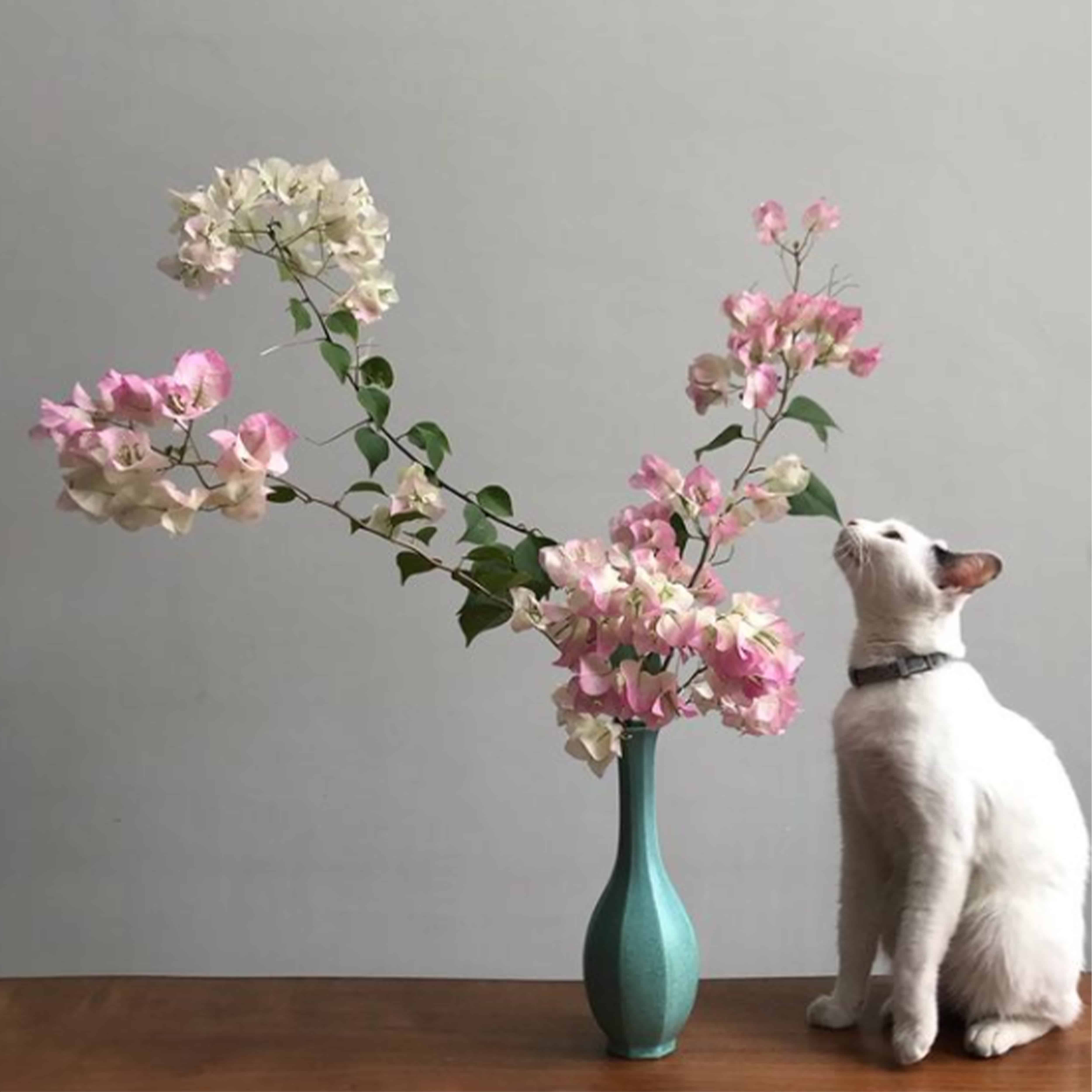 FloweringMind