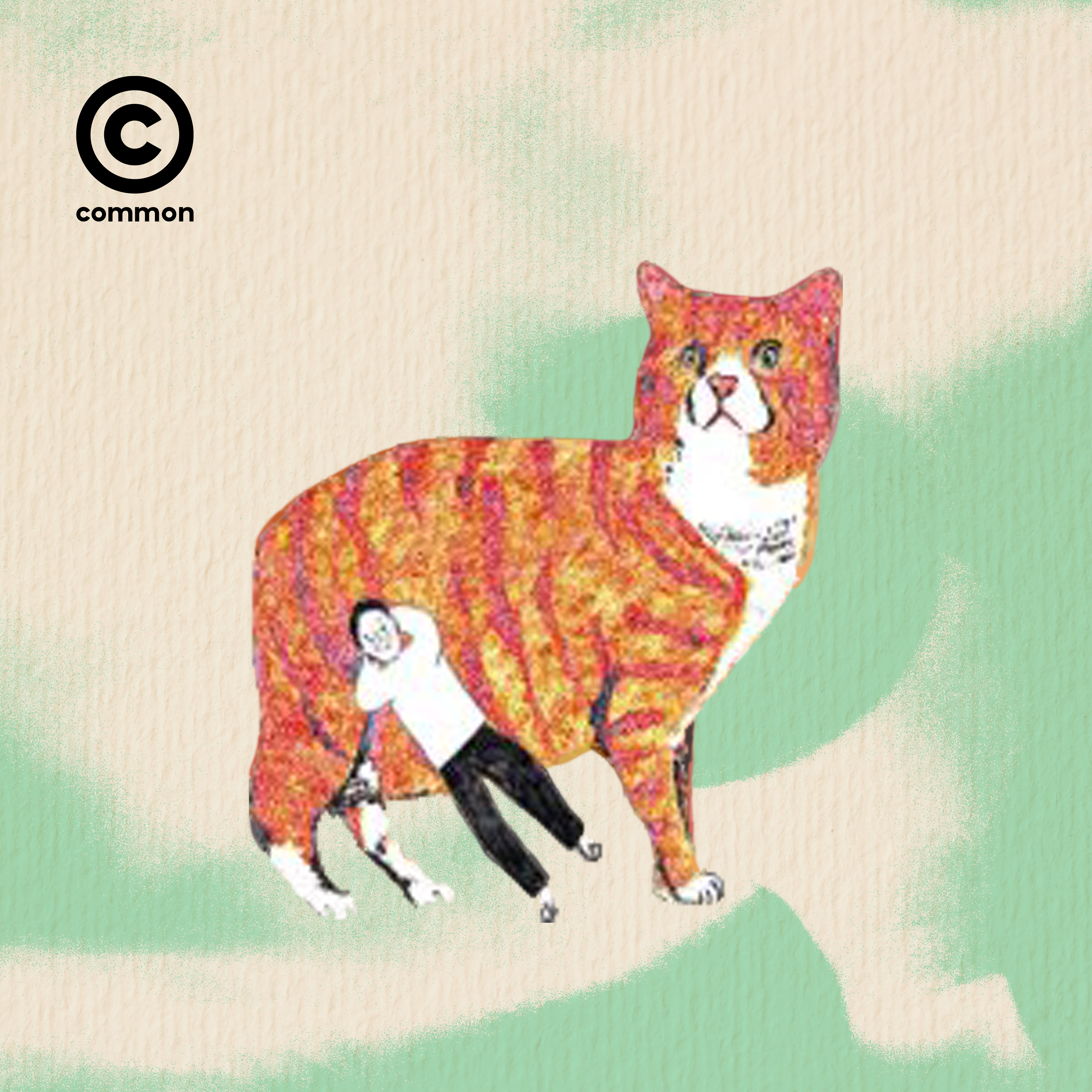 BlanketCats
