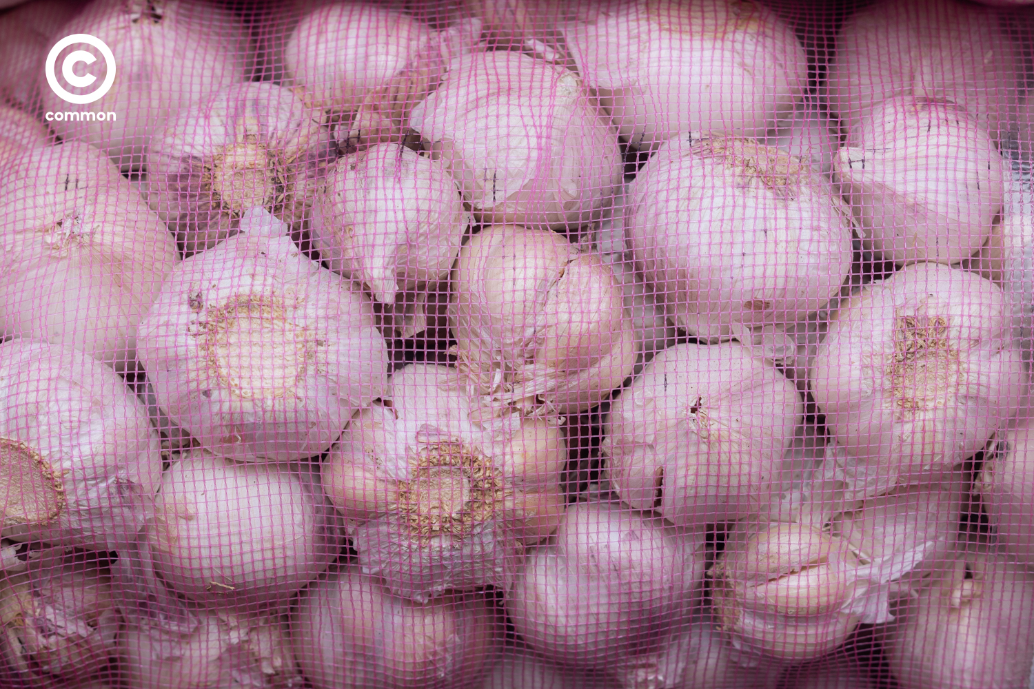 #PHOTOESSAY #ตลาดสด #becommon