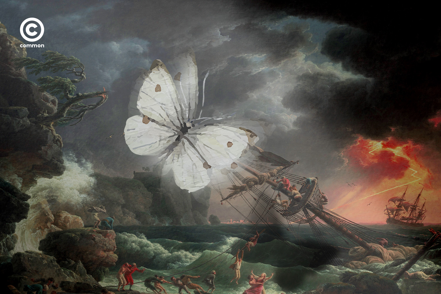 the butterfly effect