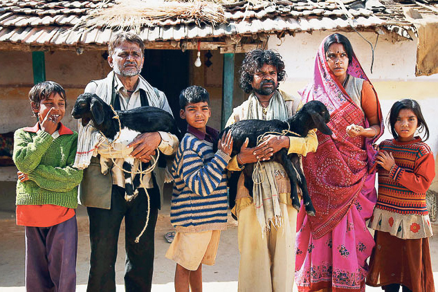 peepli live