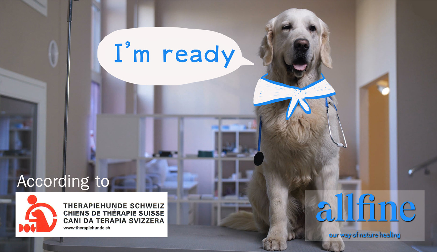 therapy dog