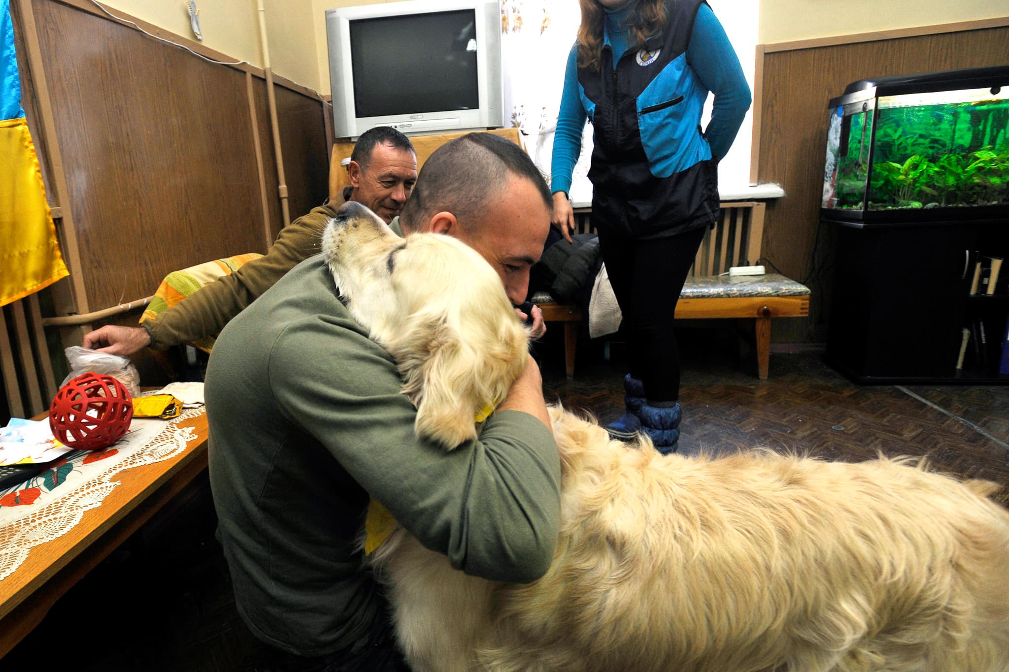 therapy dog