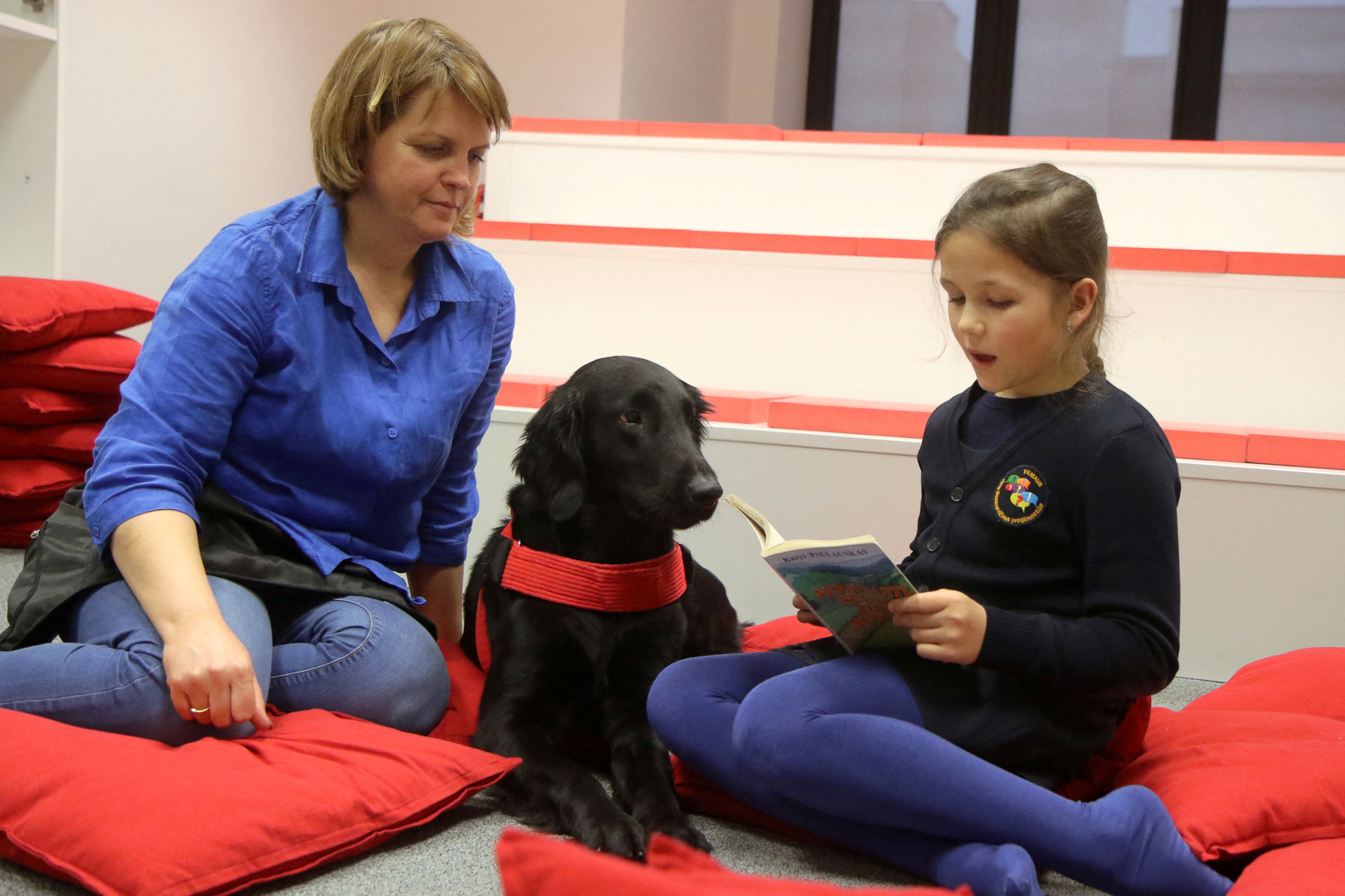 therapy dog