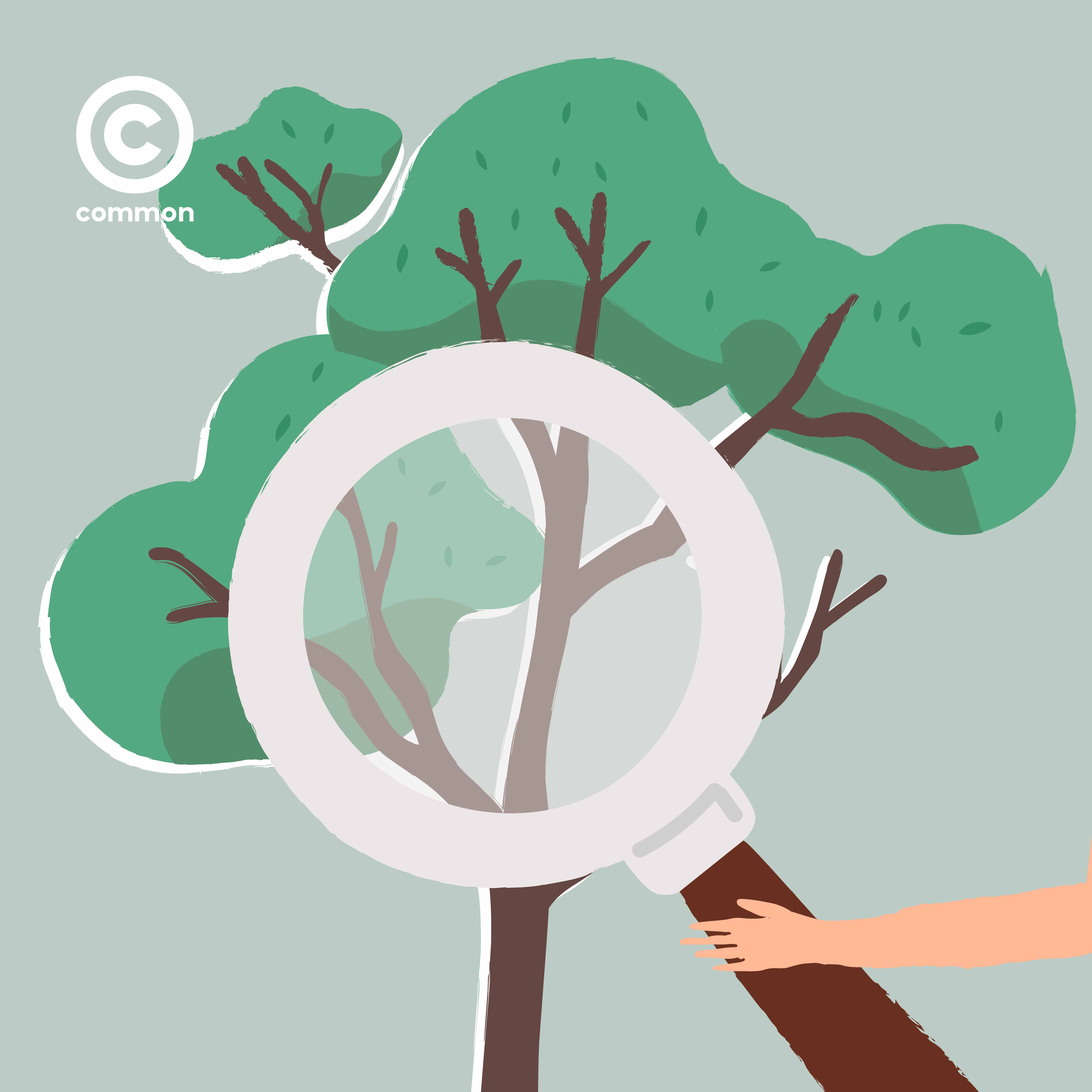 Tree Pruning