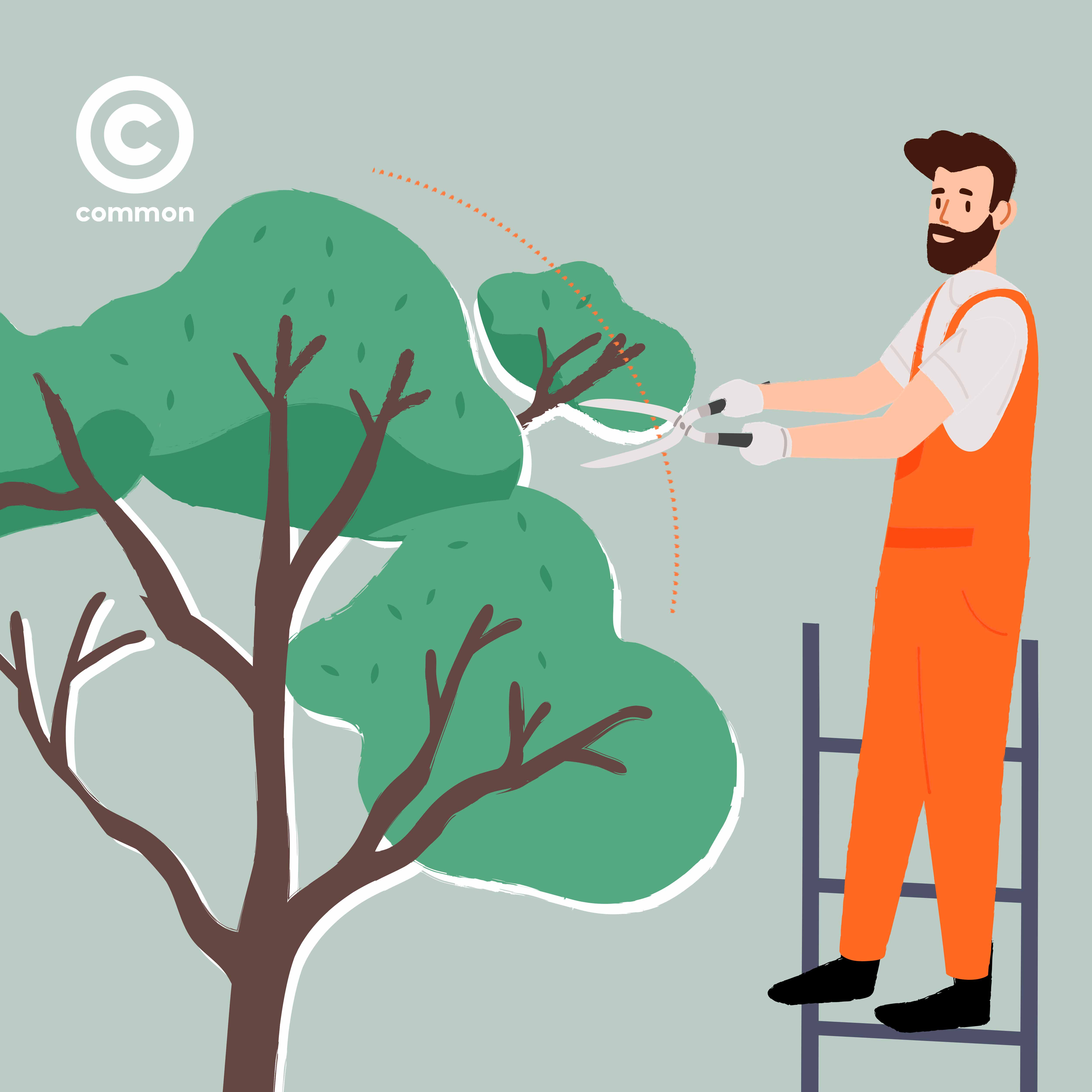 Tree Pruning