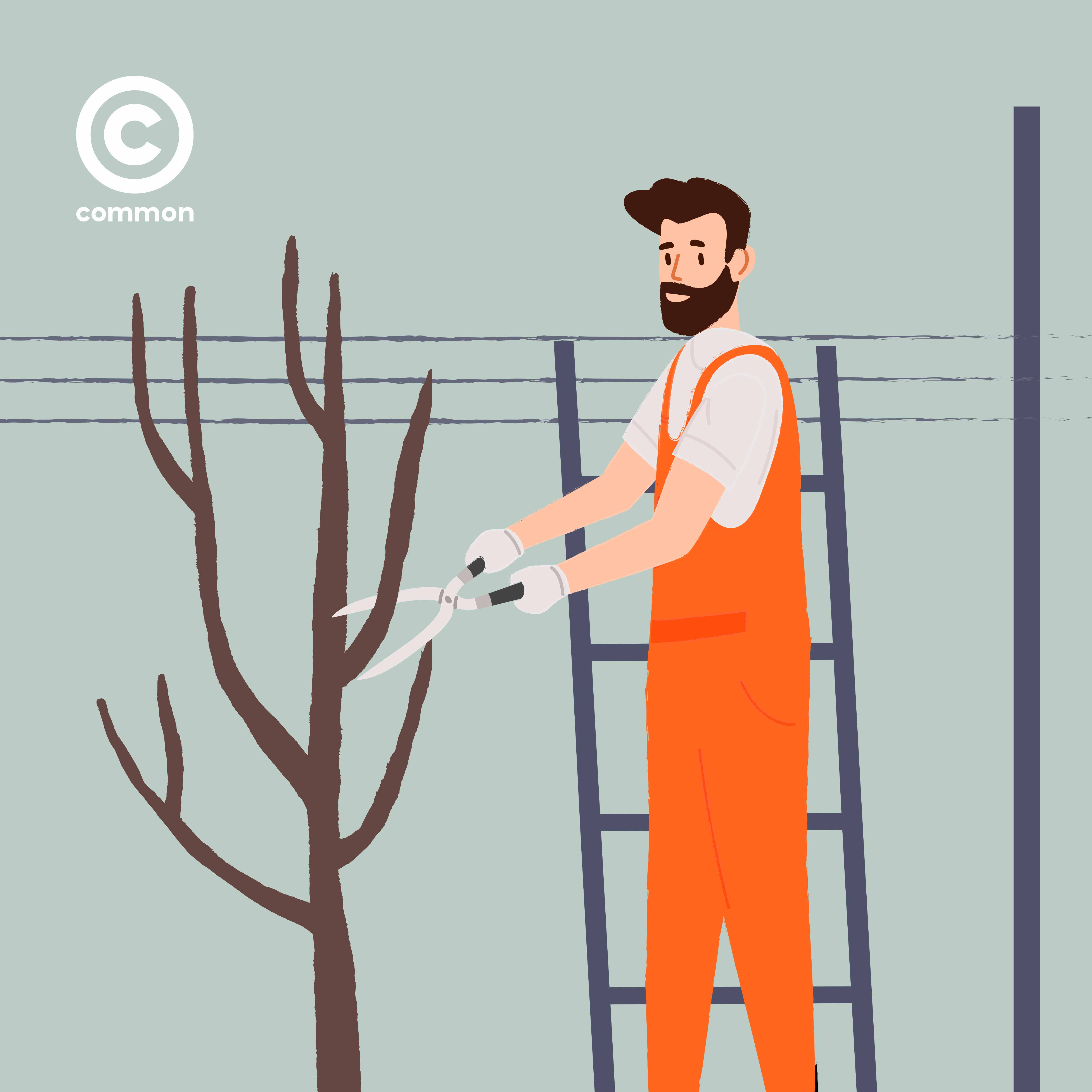 Tree Pruning