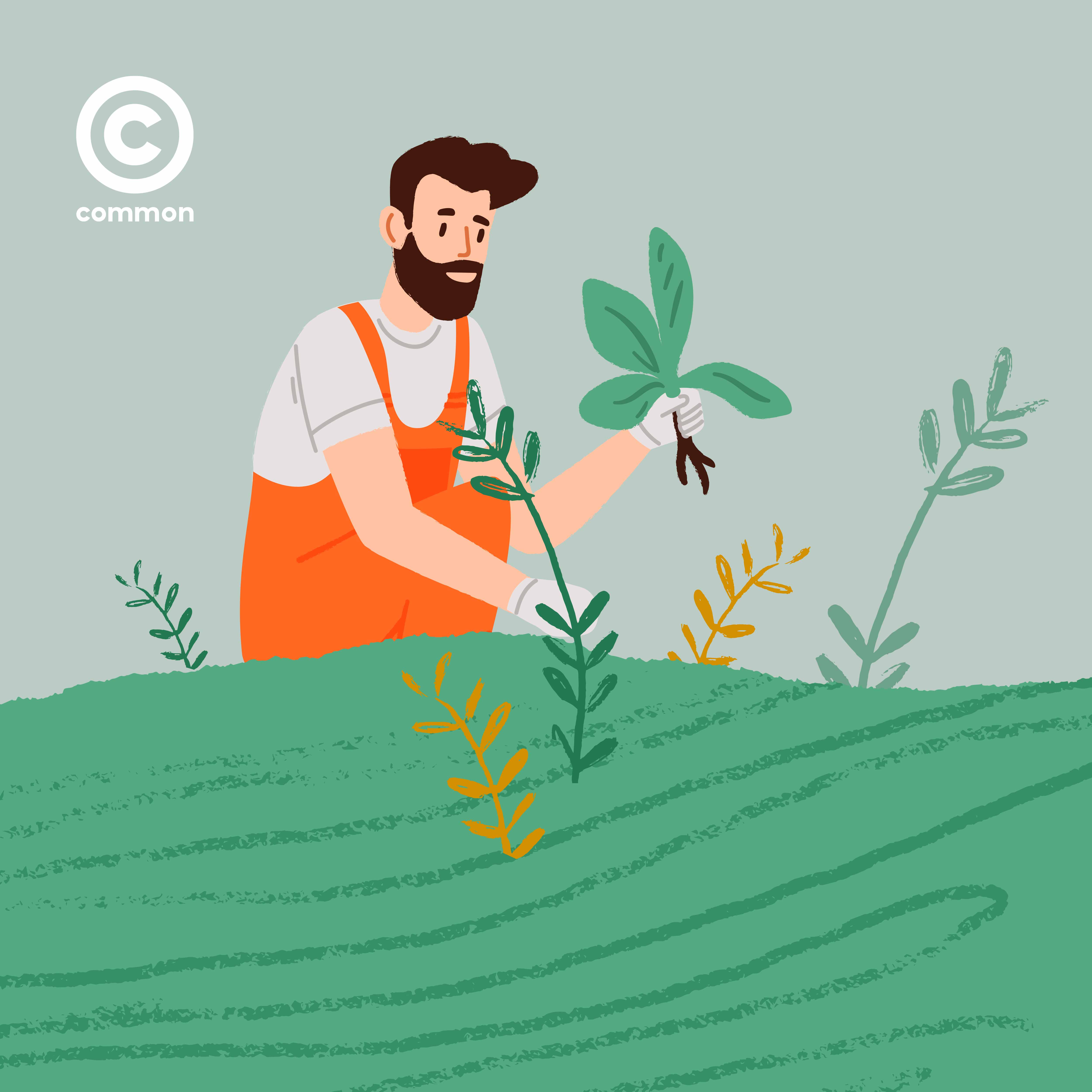 Tree Pruning