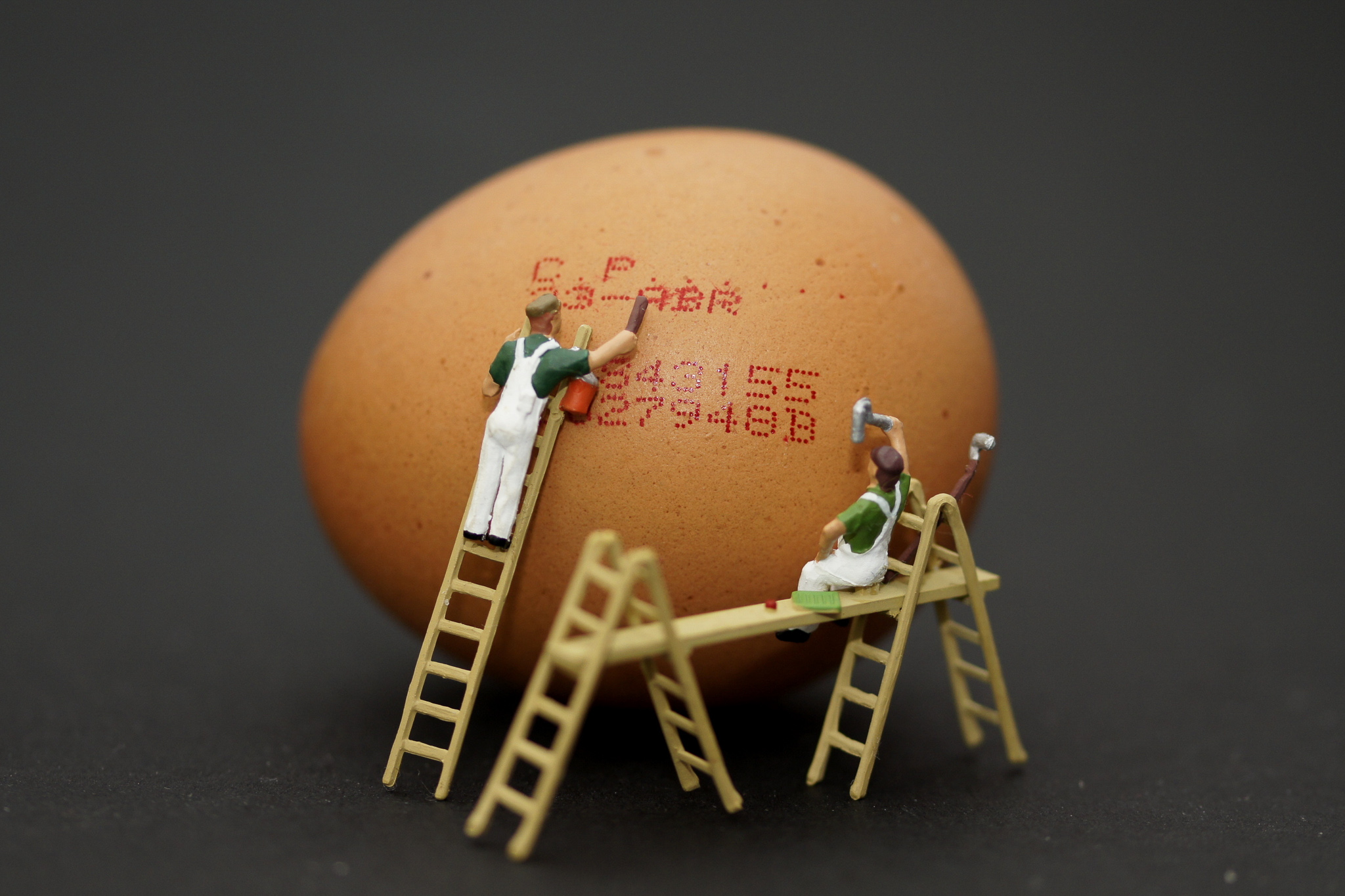 Expiry Date