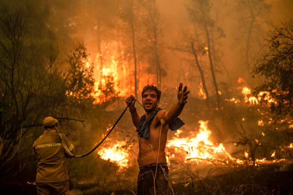 wildfire