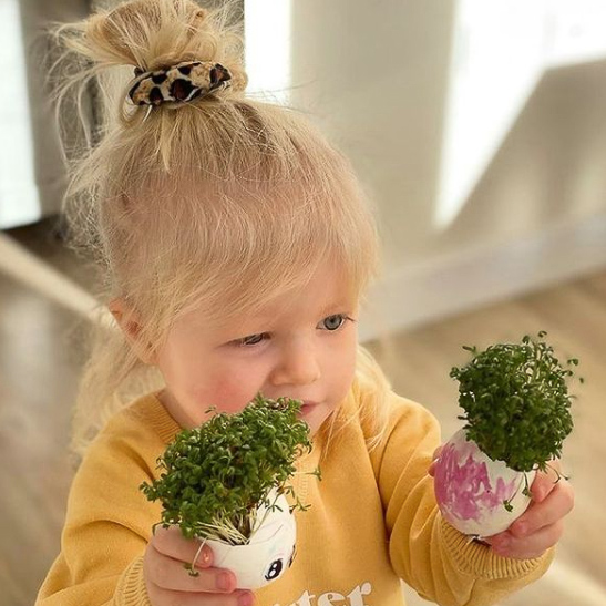 green curriculum