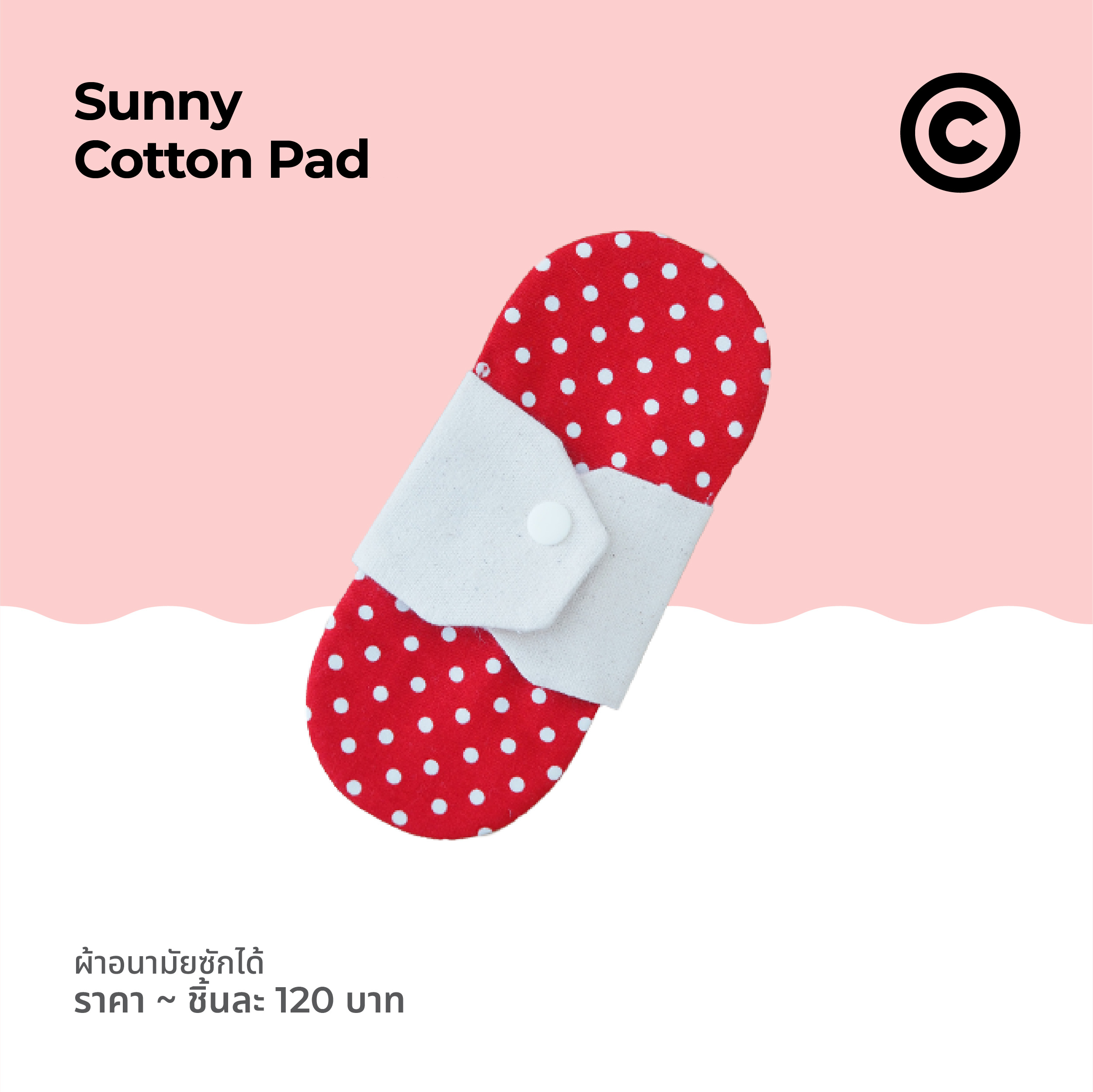 sanitary item
