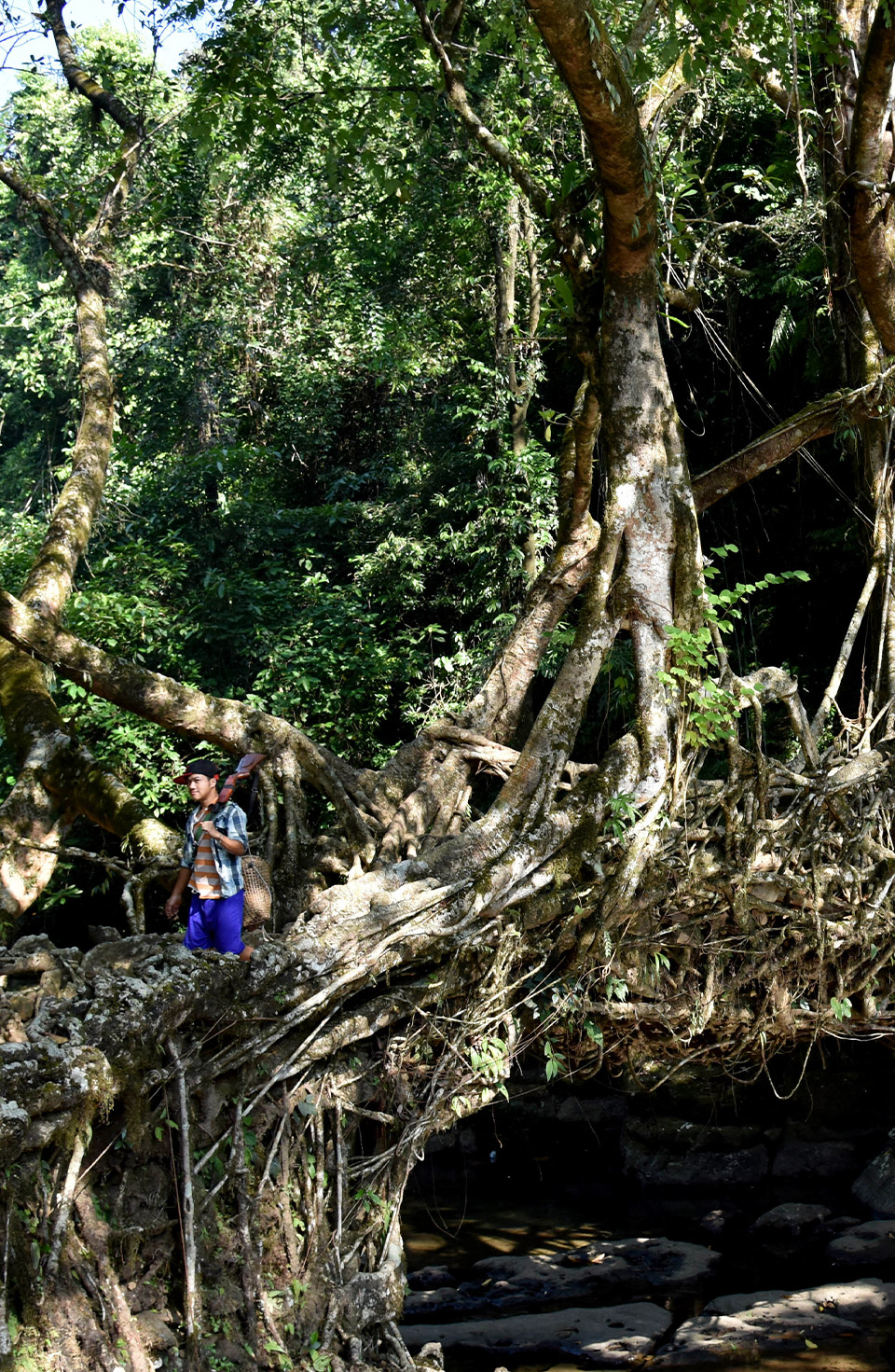 Meghalaya
