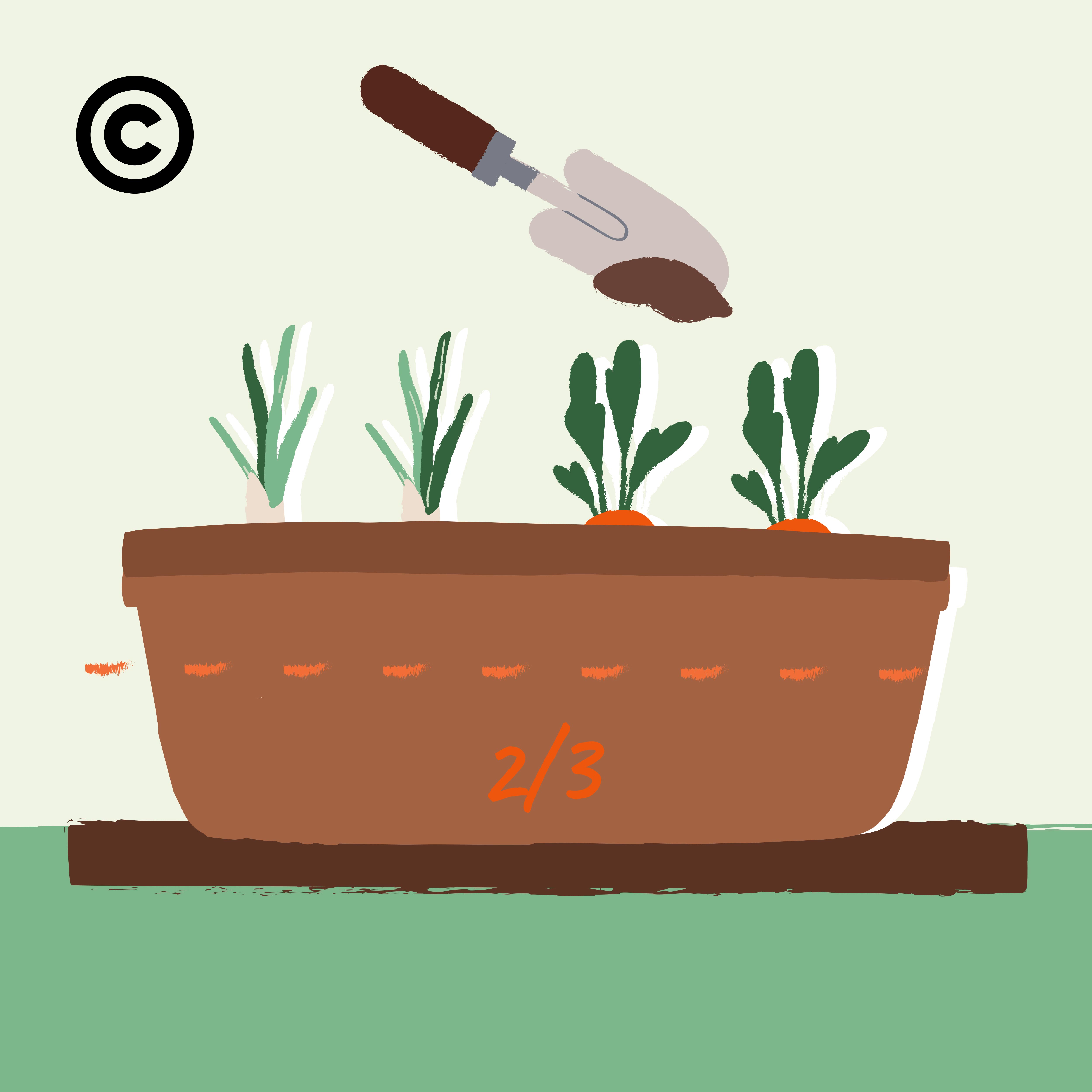 home gardening