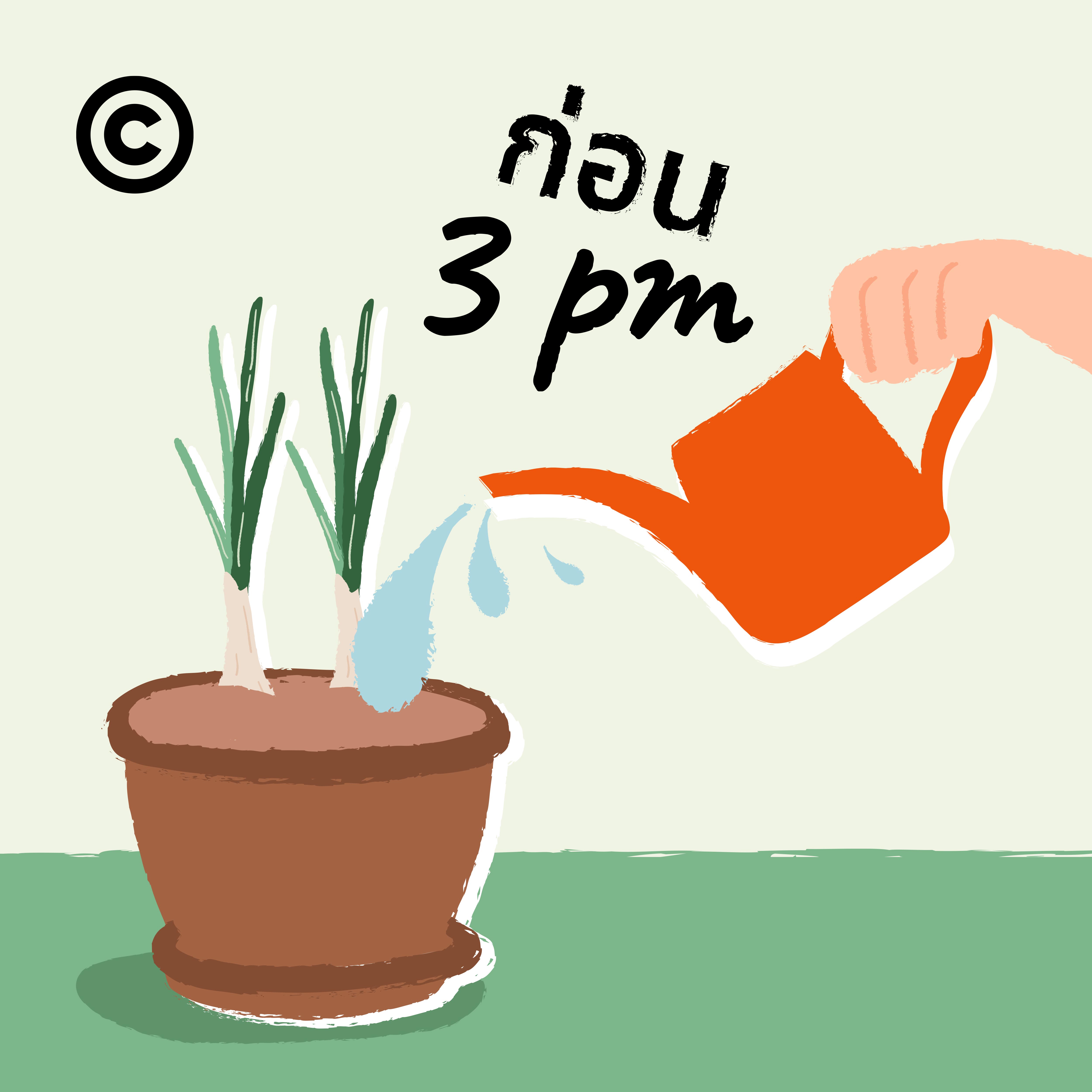 home gardening