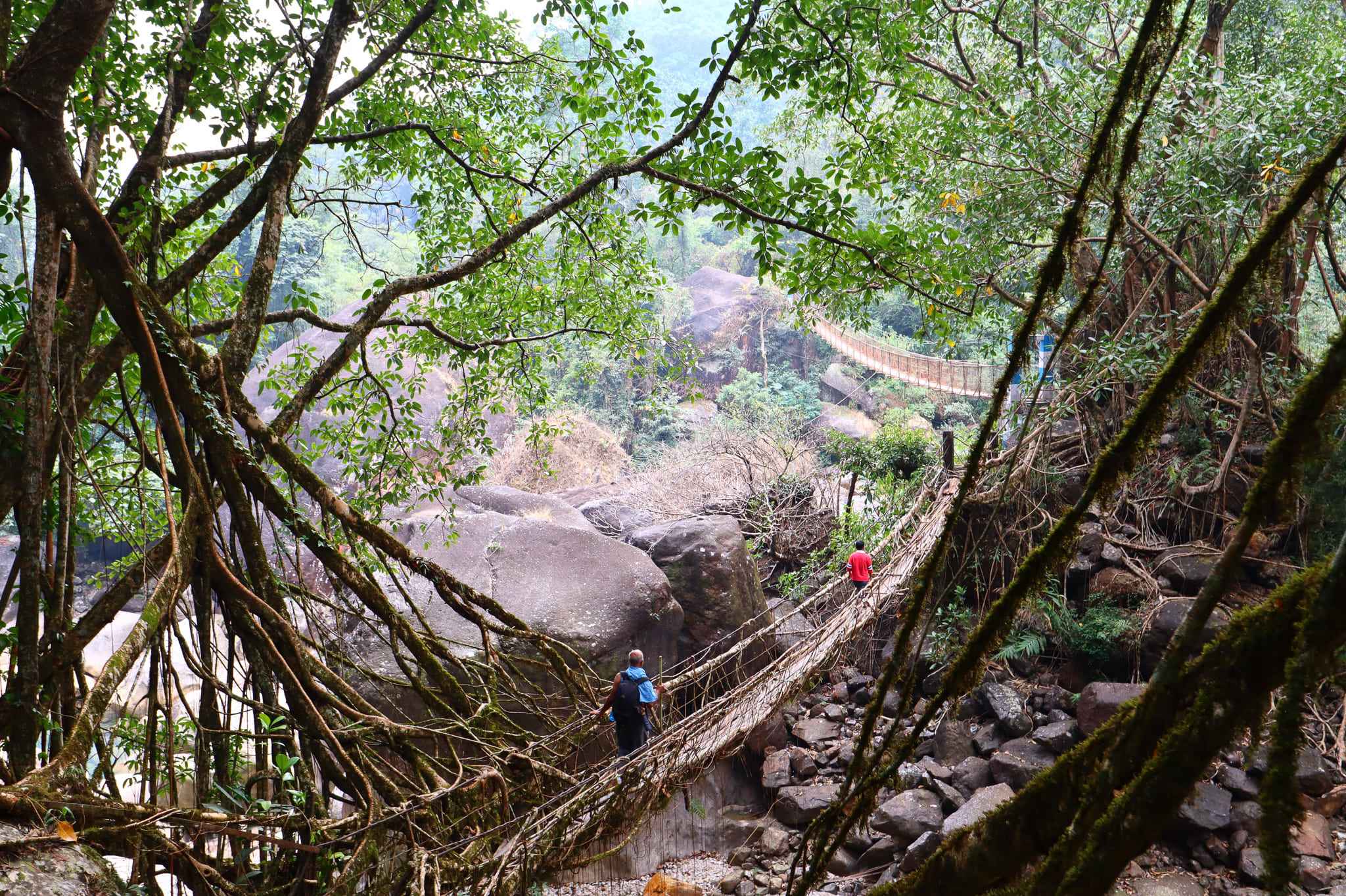 Meghalaya
