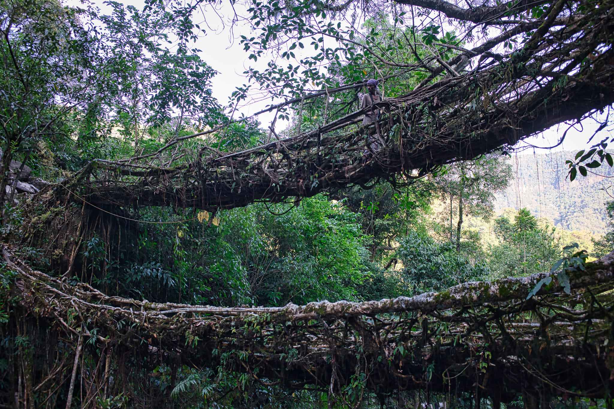 Meghalaya