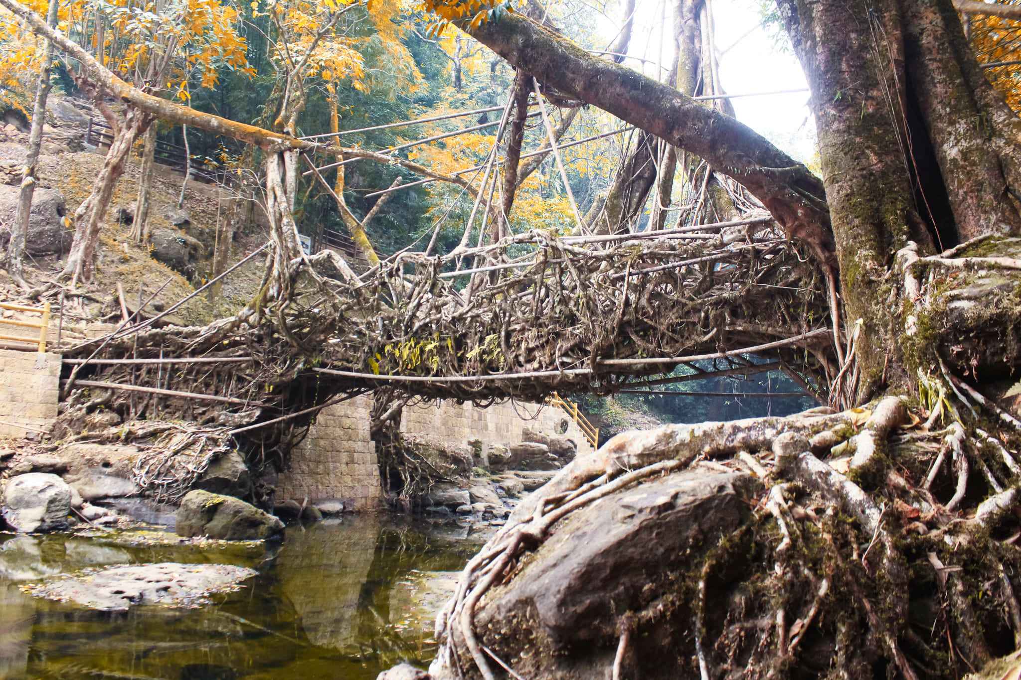 Meghalaya
