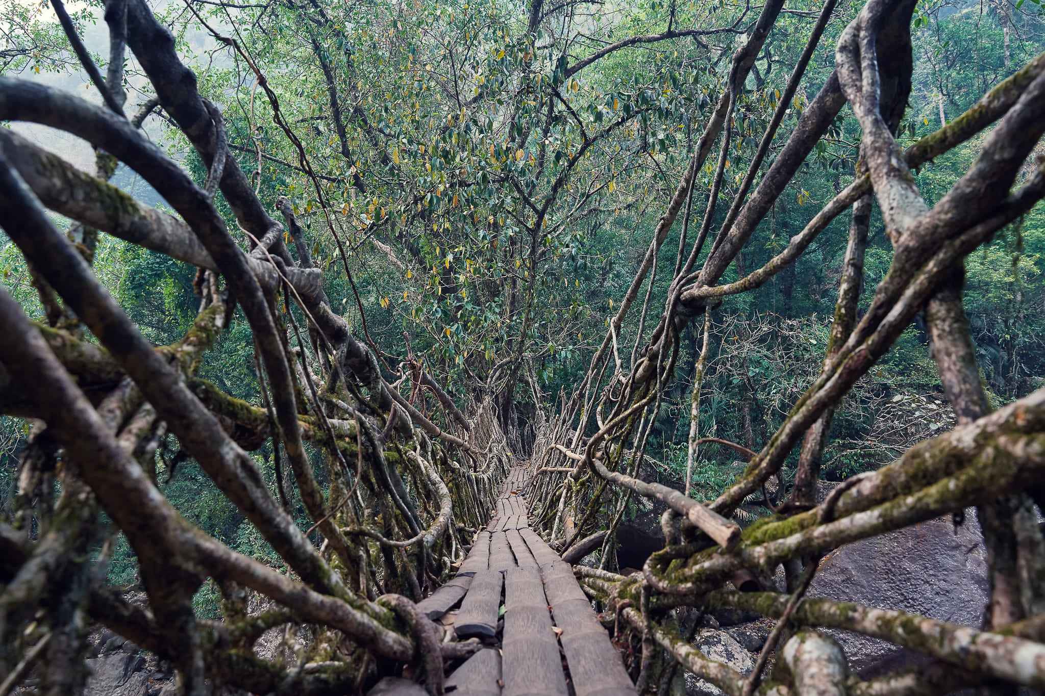 Meghalaya