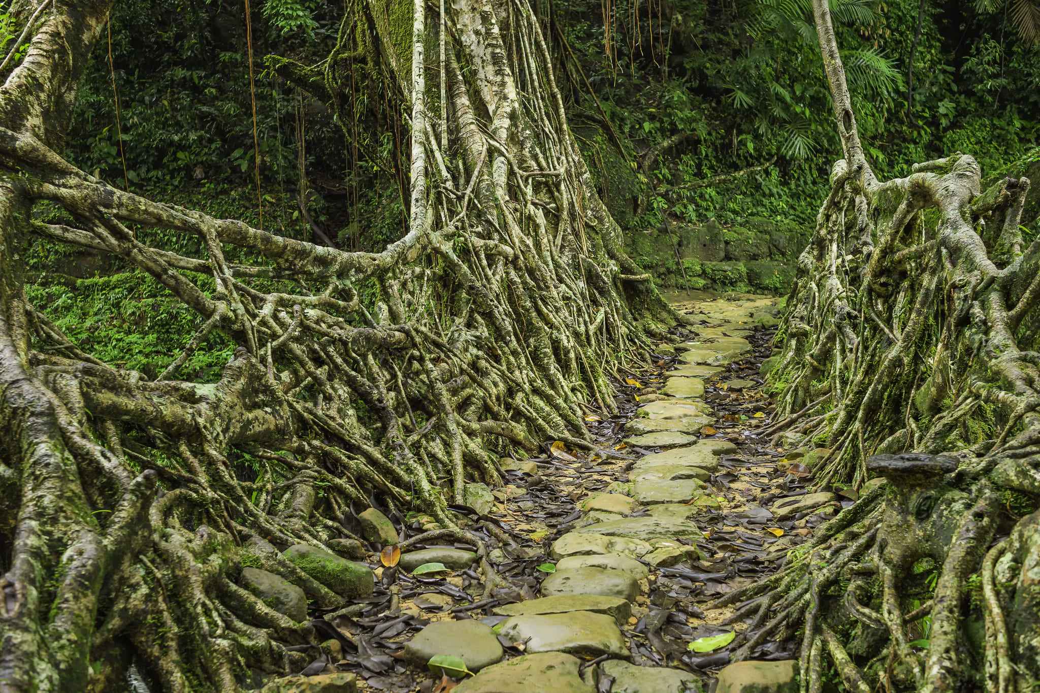 Meghalaya