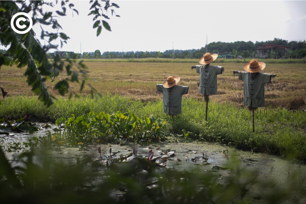 landlab
